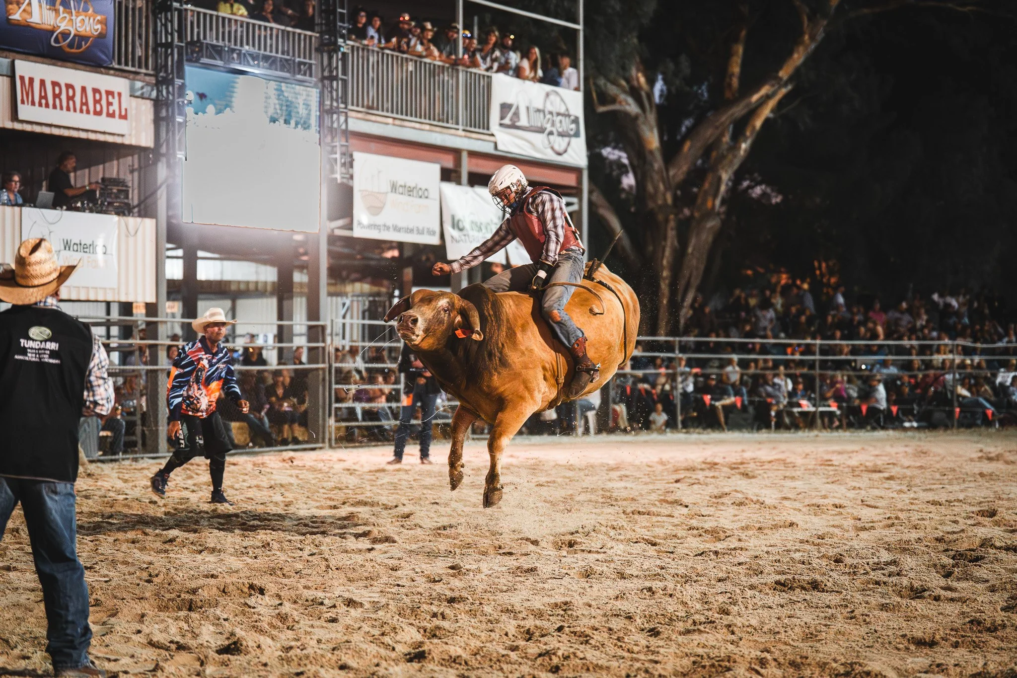 a bull rider riding a bull whilst the bull is mid-buck at a rodeo event in South Australia