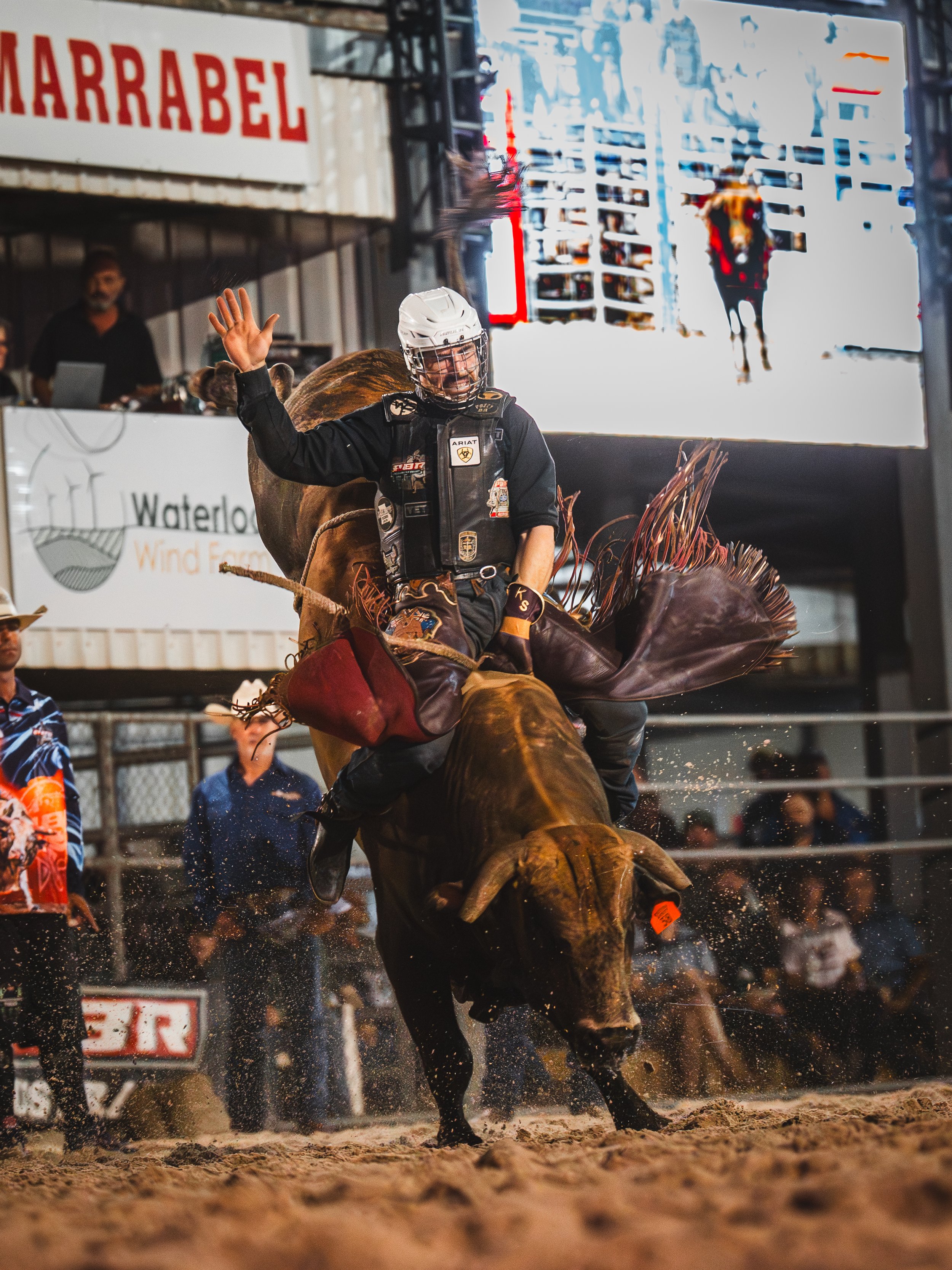 a bull rider riding a bull whilst the bull is mid-buck at a rodeo event in South Australia