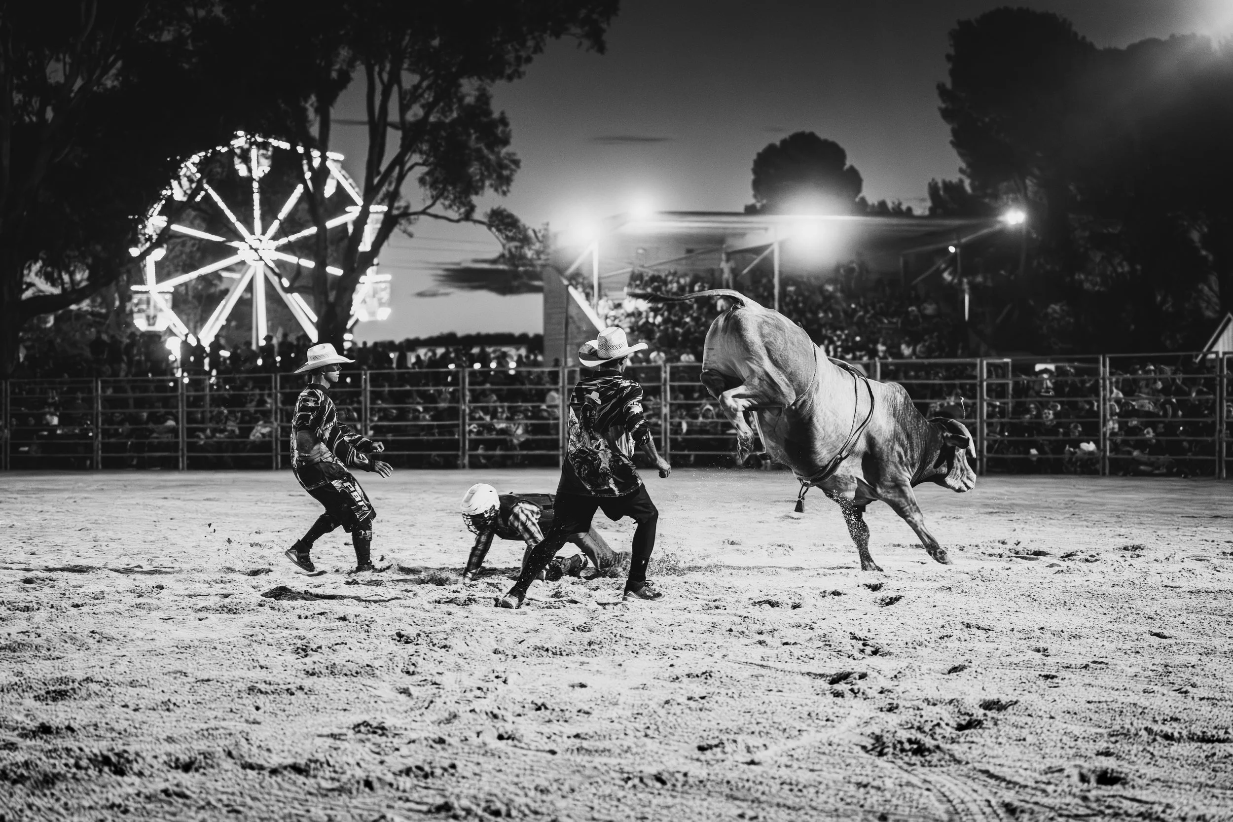a bull rider riding on the ground while the bull is mid-buck at a rodeo event in South Australia