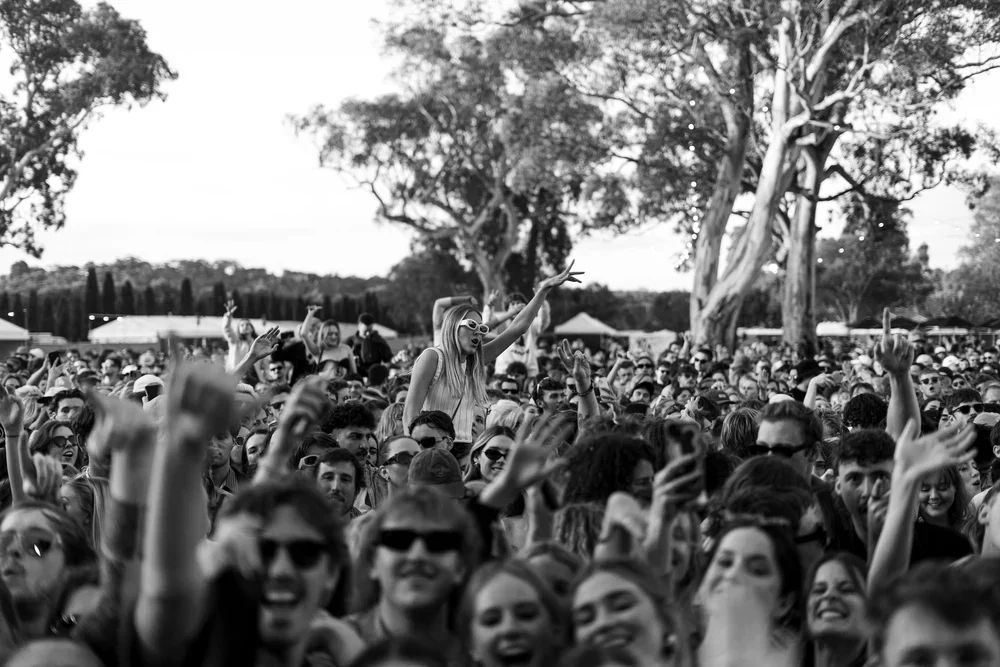 crowd signing, smiling and dancing at a music festival in McLaren Vale, South Australia