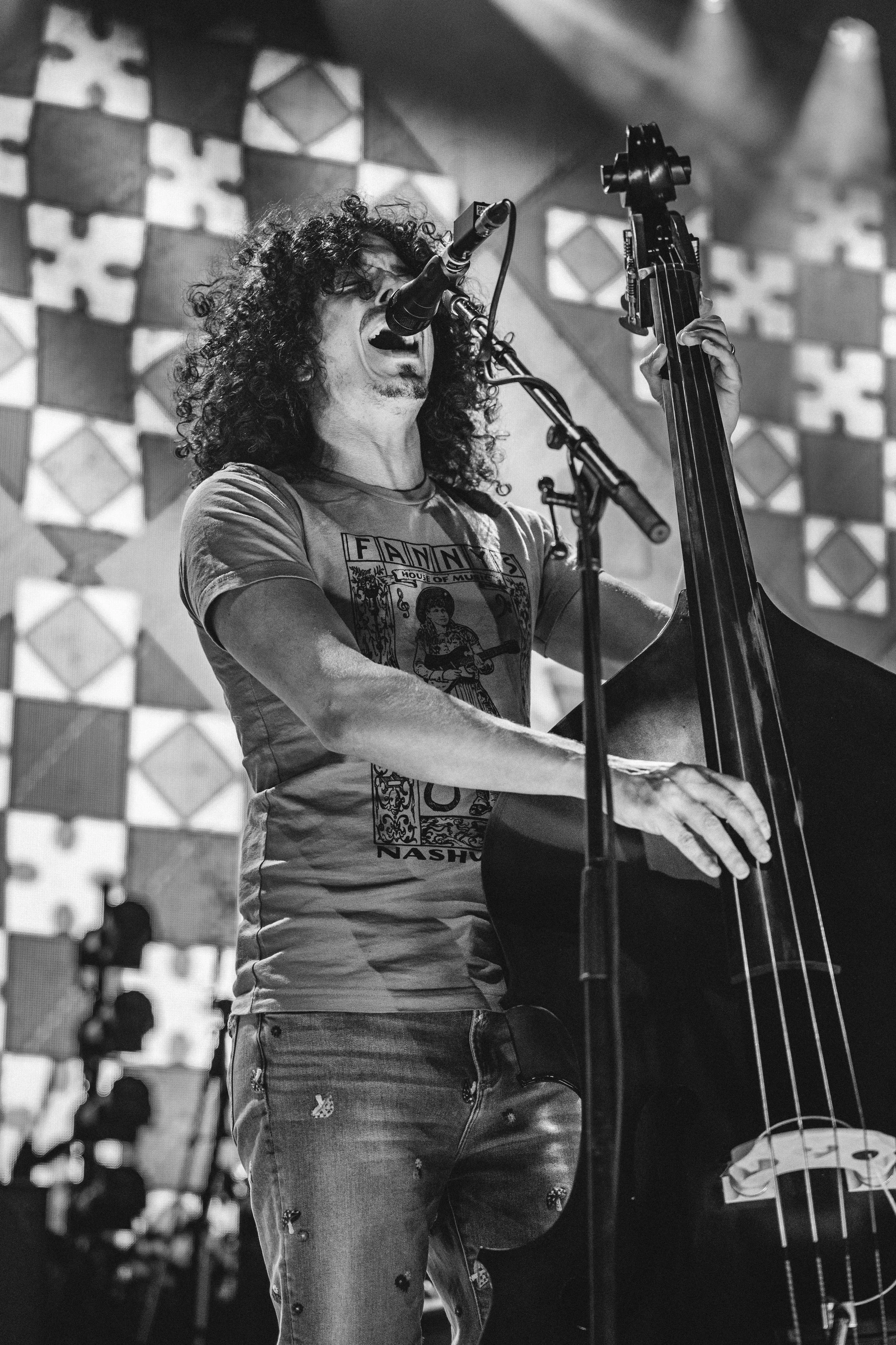 Tyler Childers double bassist performing at a concert in Adelaide.