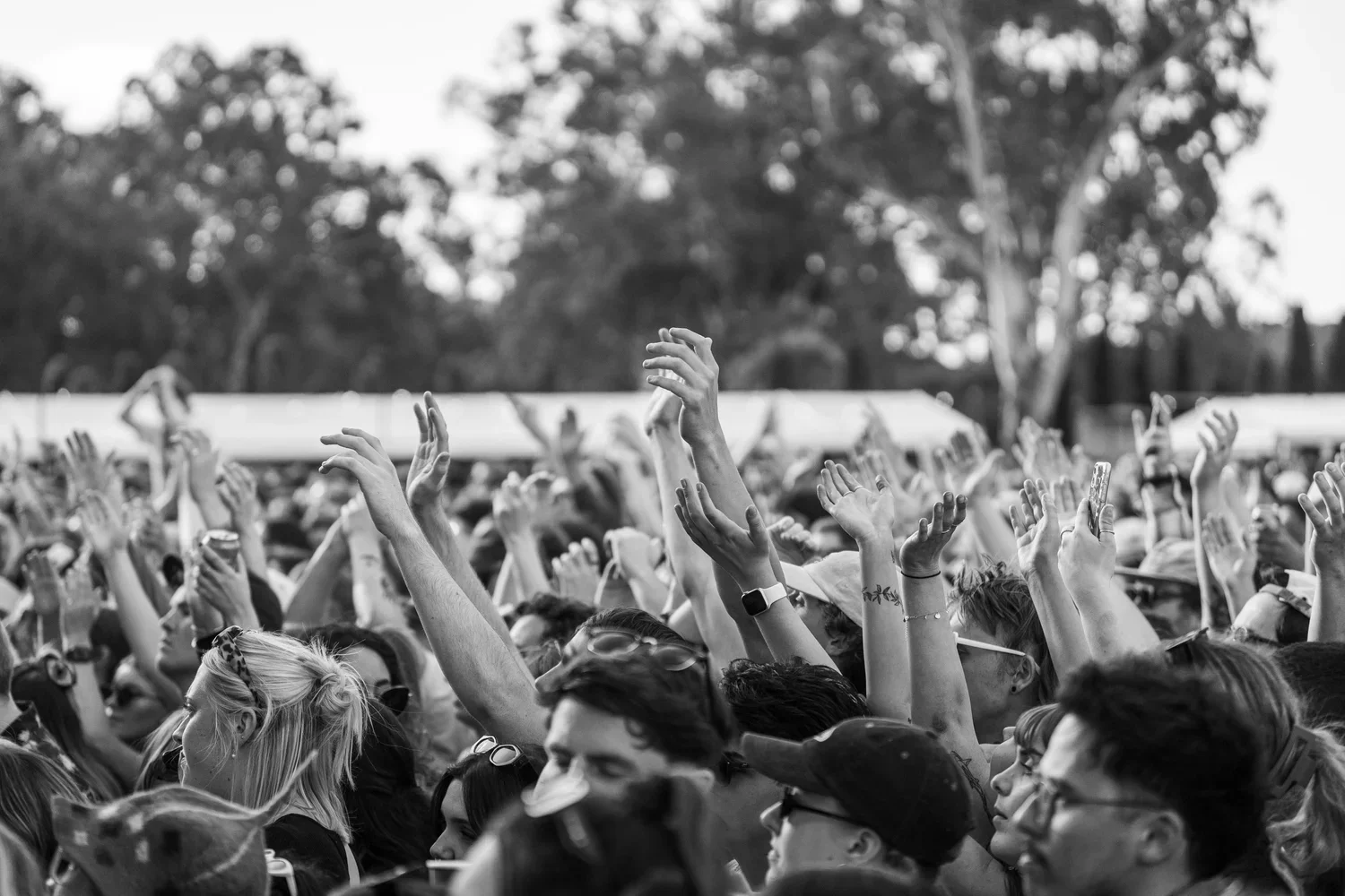 crowd signing, smiling and dancing at a music festival in McLaren Vale, South Australia