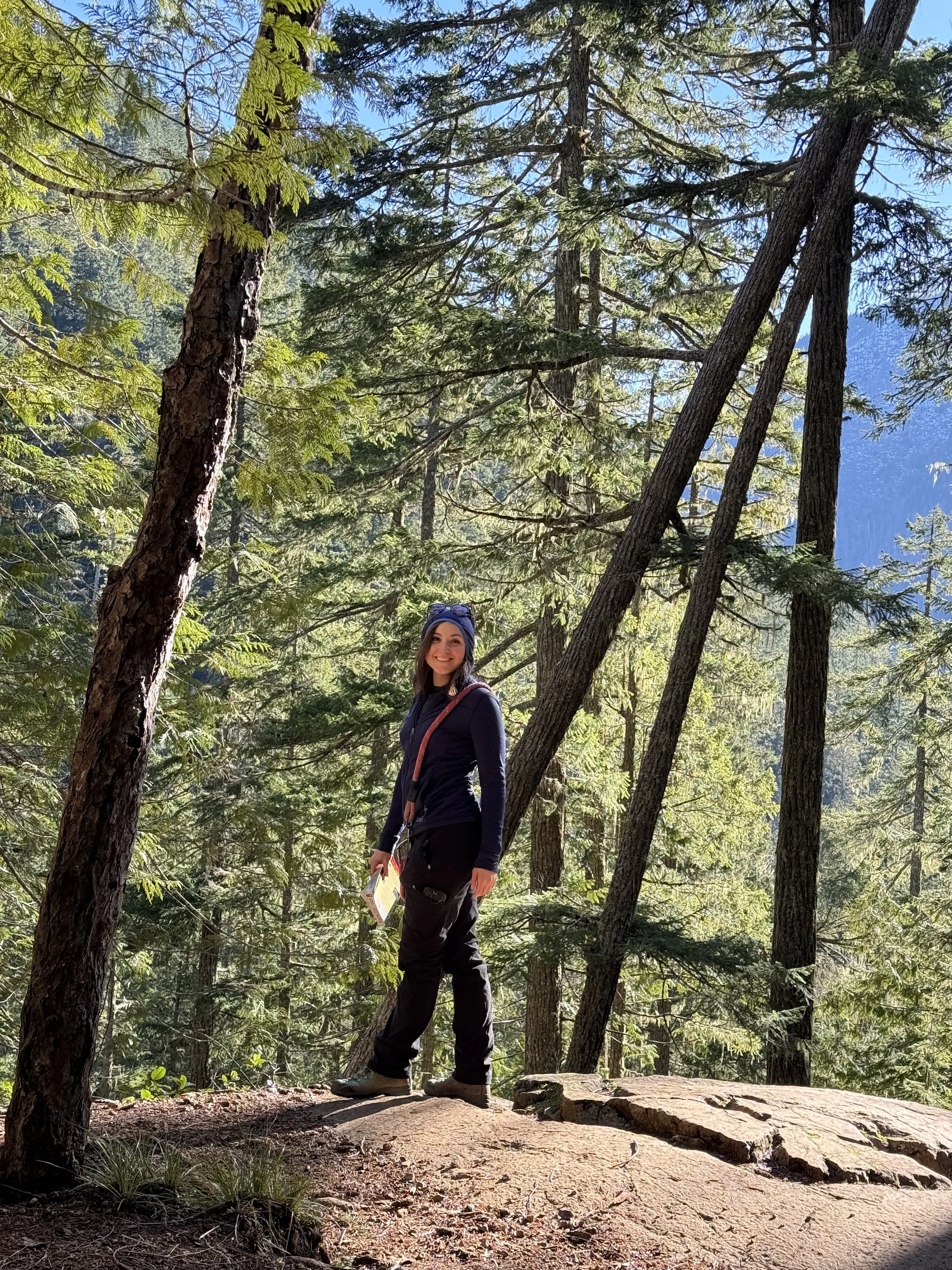 A woman standing on a large rock in a forest, surrounded by tall evergreen trees, with sunlight filtering through the branches.