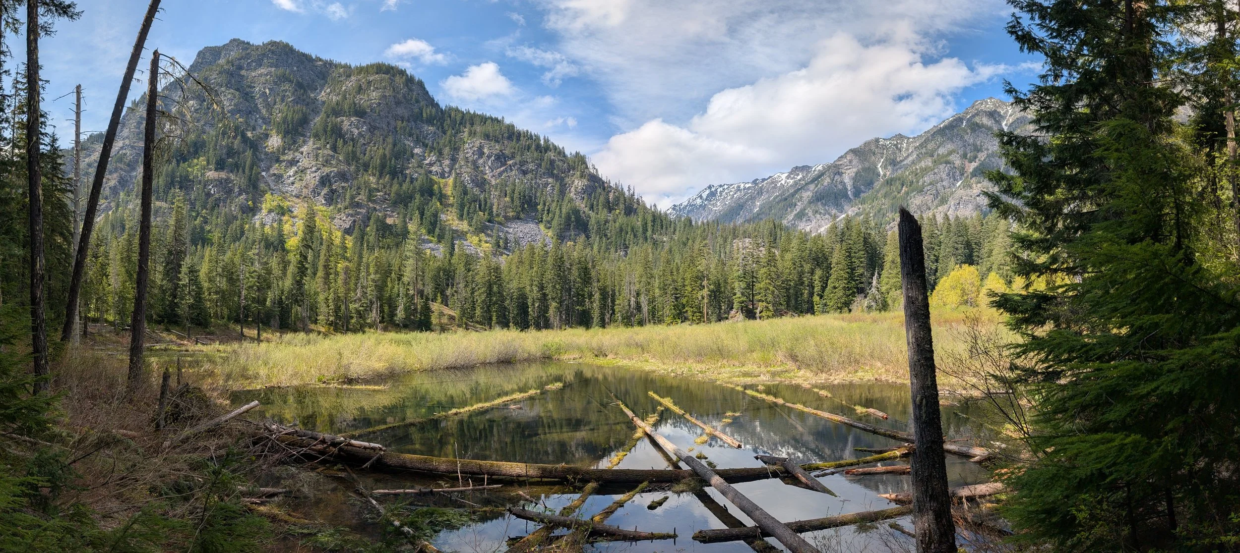 New Relationship, Better Habits Coaching (1-hour)