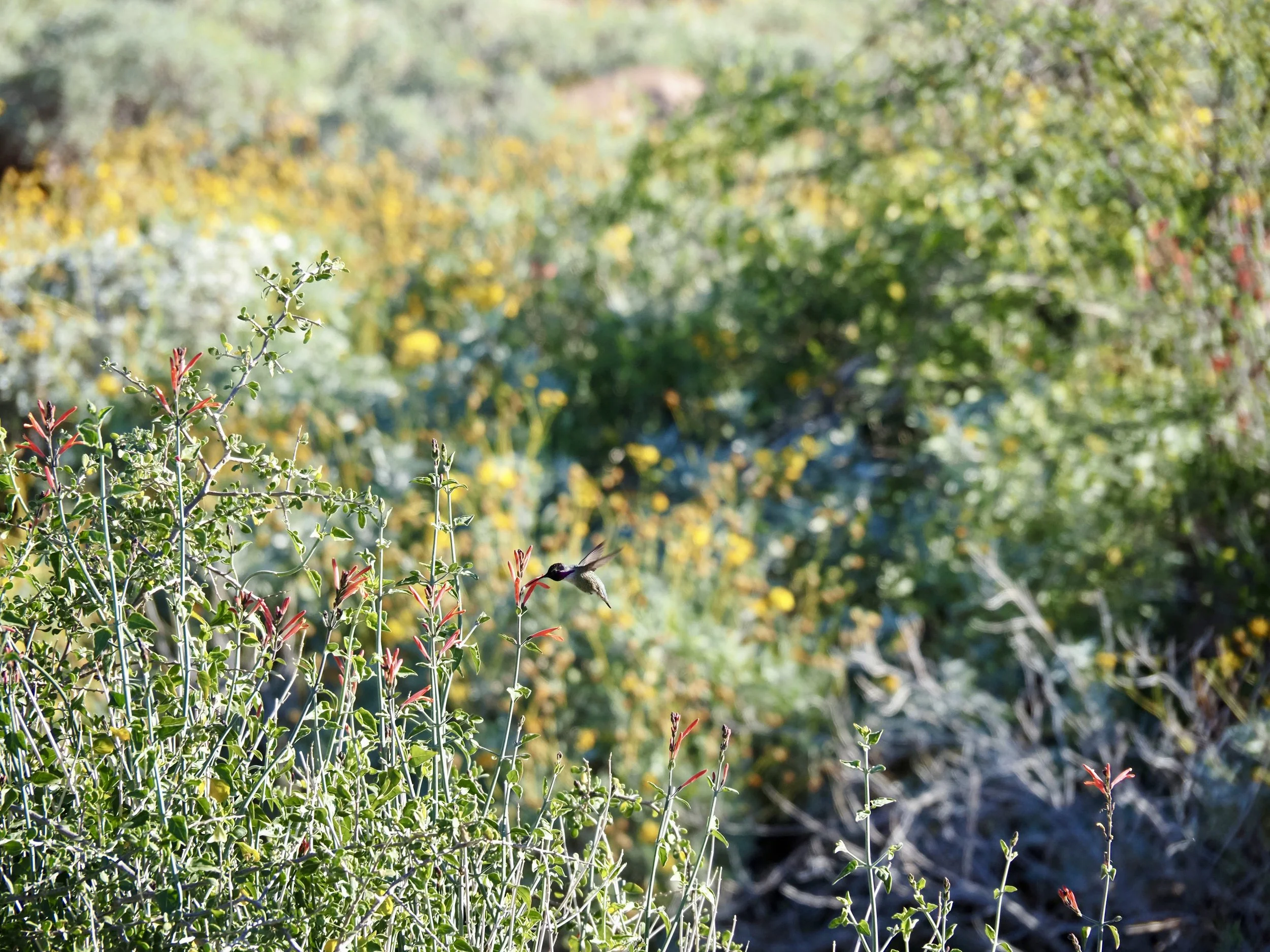 Free 30-Minute Introduction Meeting