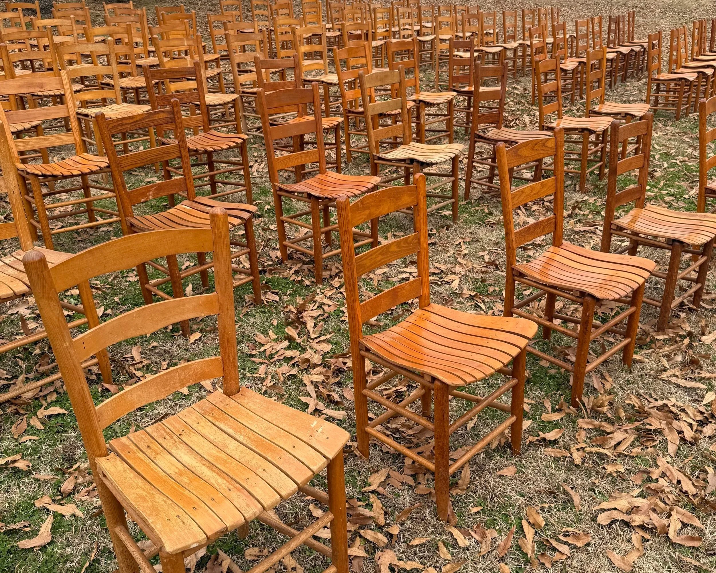 Numerous wooden chairs arranged outdoors on a grass and leaf-covered ground.