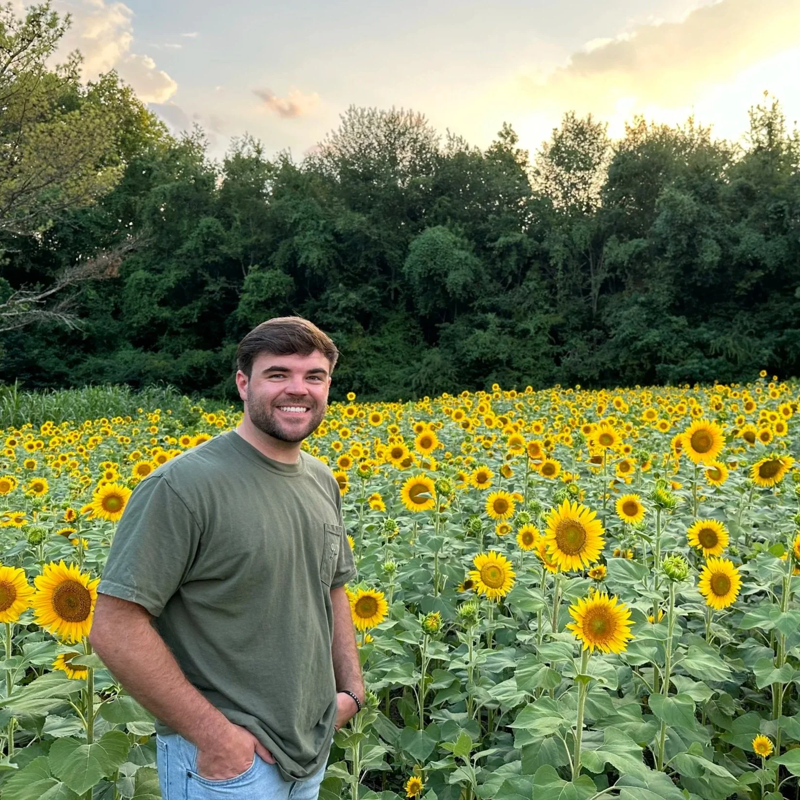 A smiling man in a green T-shirt and jeans standing in a field of blooming sunflowers with a forested background during sunset.