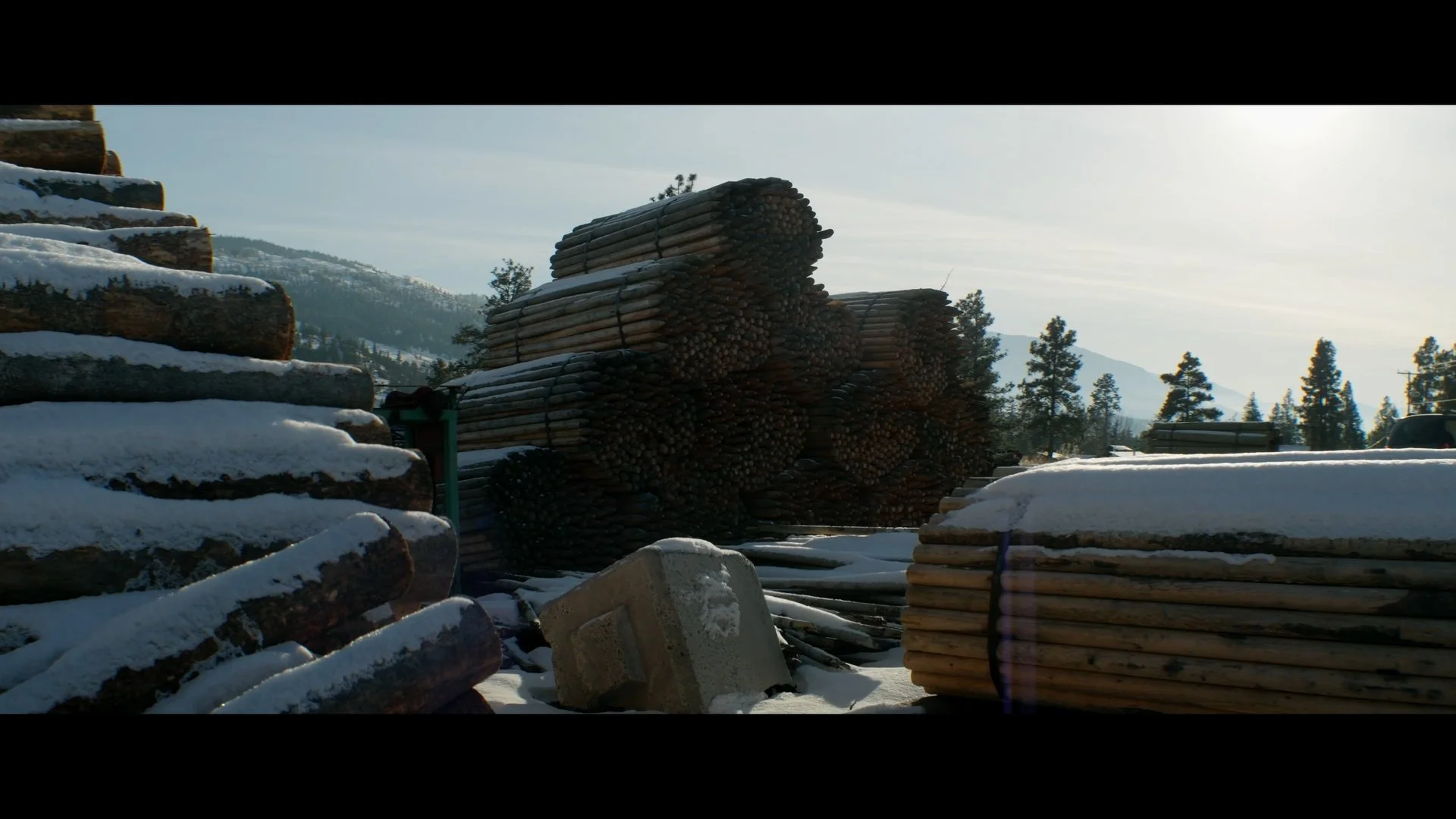 WOW 2026-01-20 180409_1.1.3.jpg