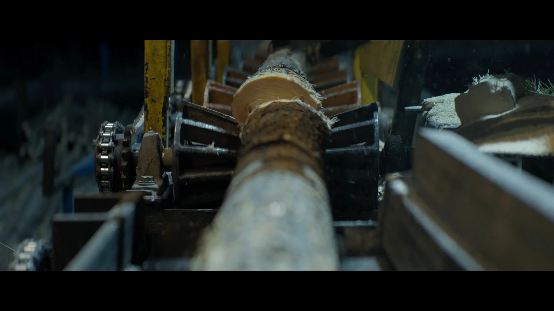 WOW 2026-01-20 180409_1.1.6.jpg