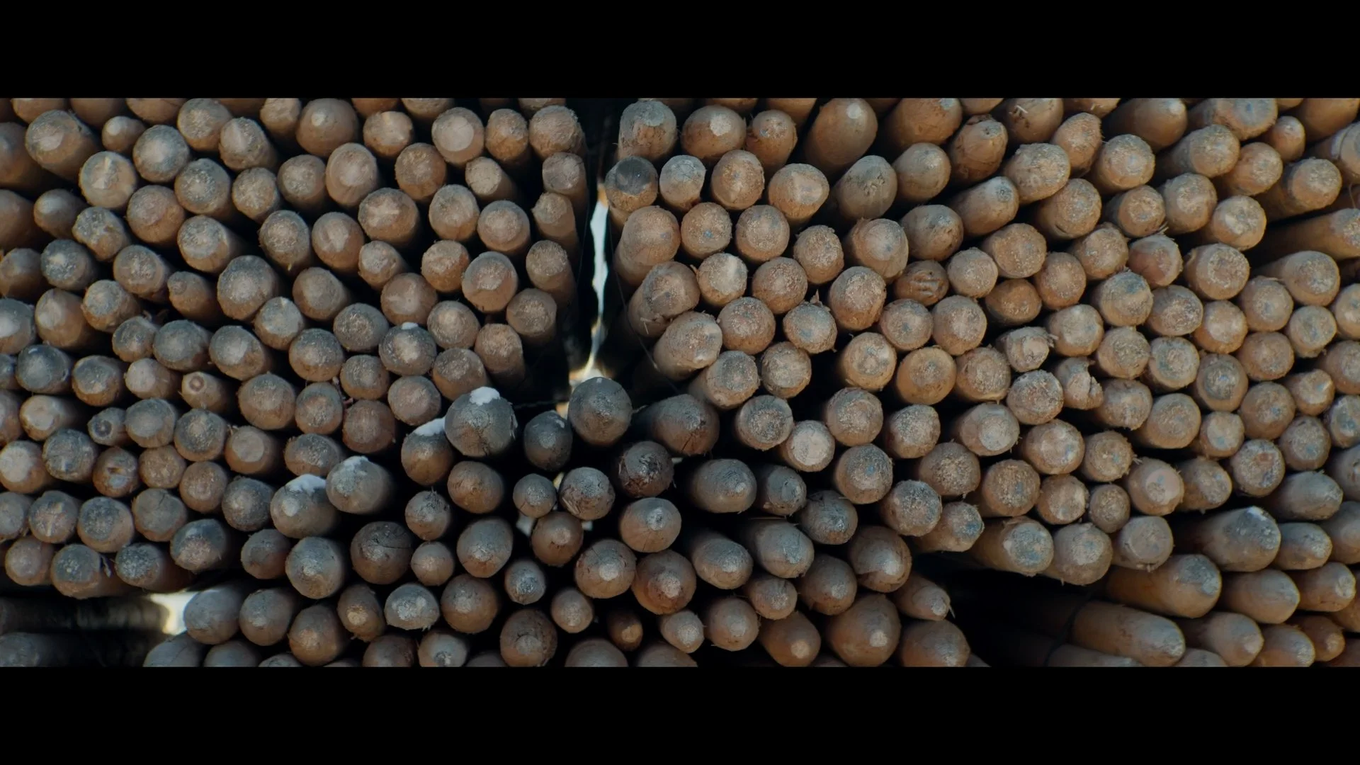 WOW 2026-01-20 180409_1.1.4.jpg