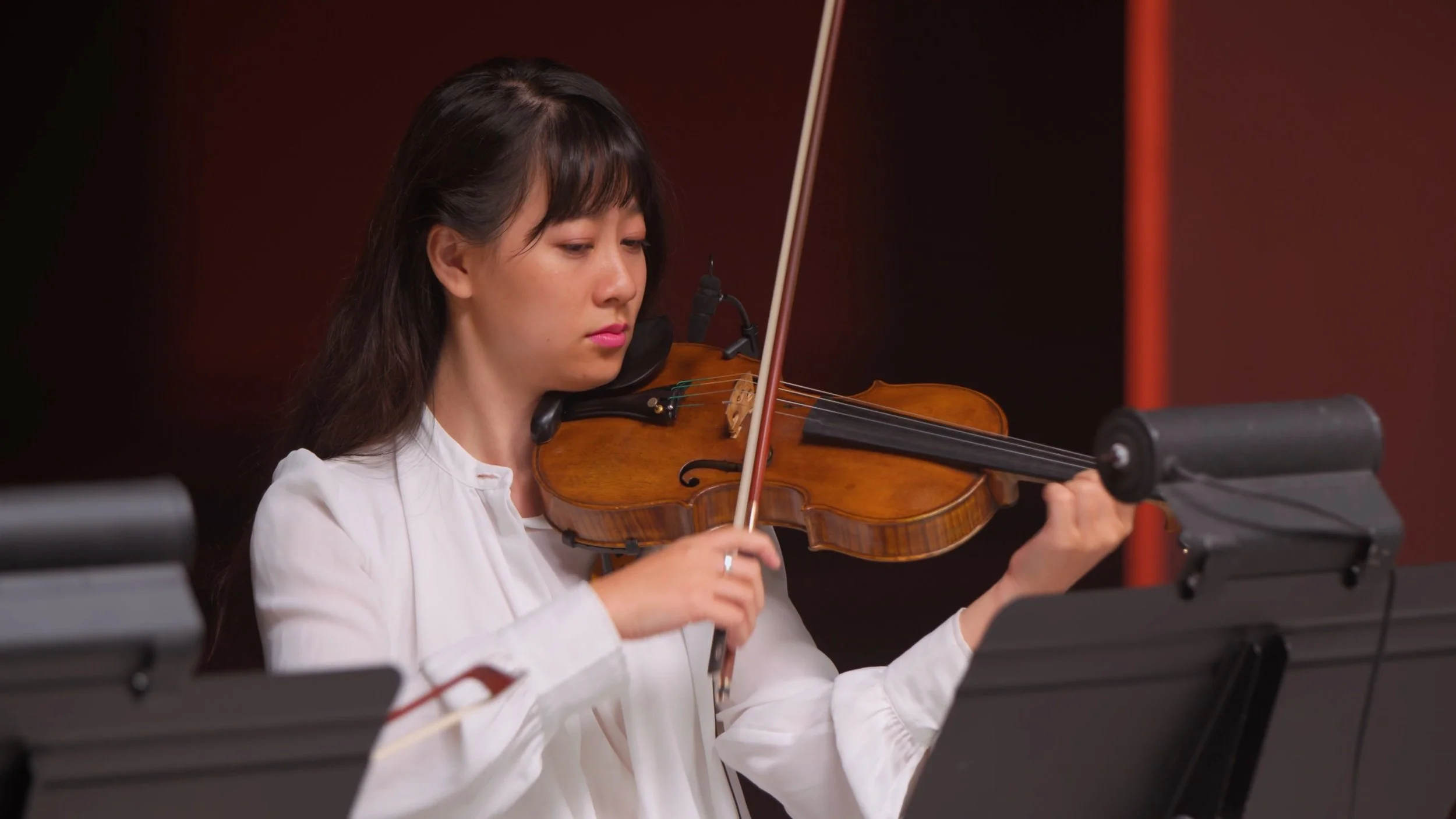 HOG 2026-01-22 154742_1.37.1.jpg