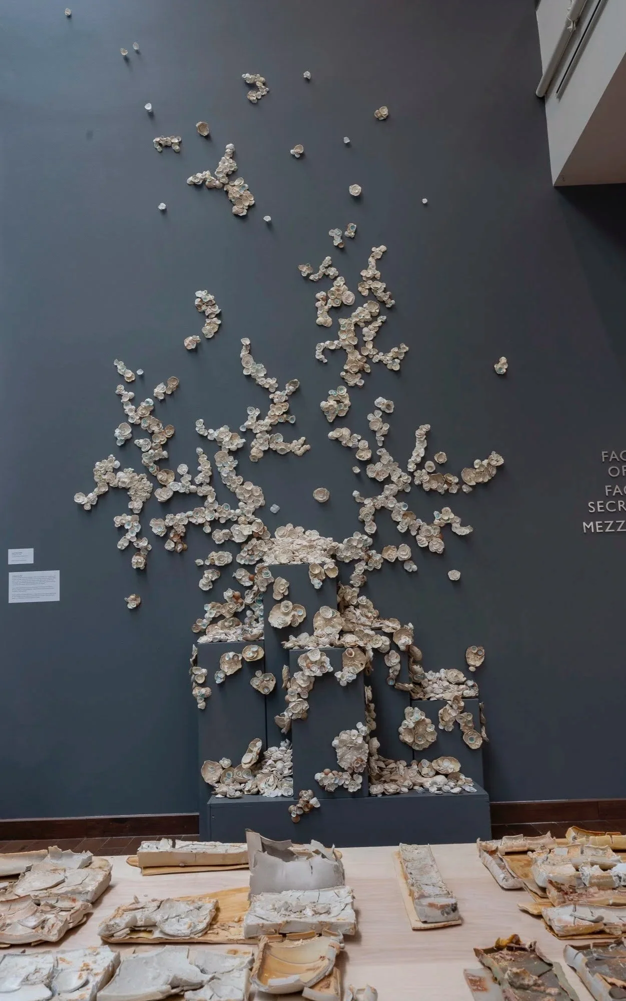 JNechoes_ros_-2083+%281%29.jpg