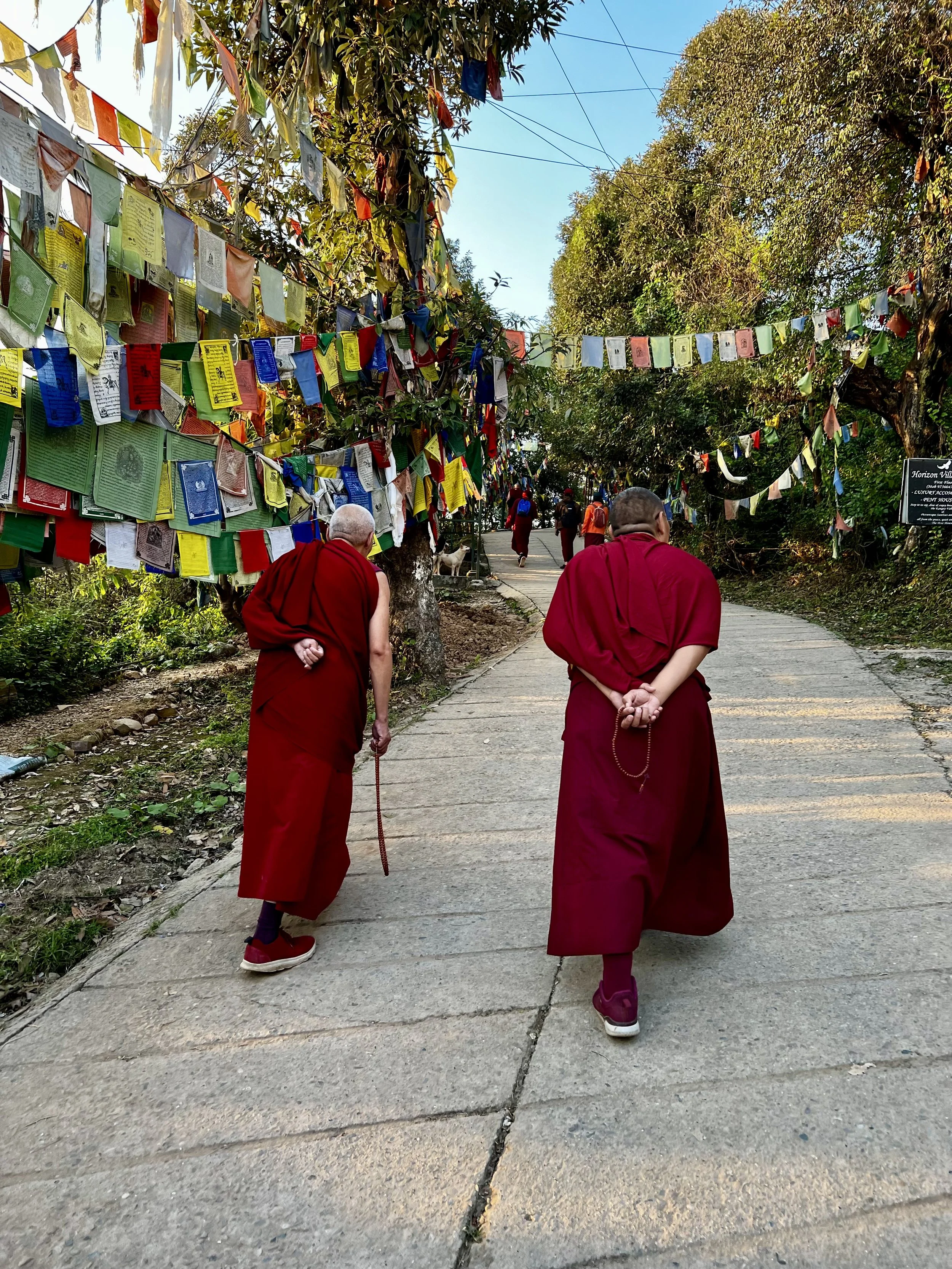 Two Buddhist monks walking on a paved path lined with colorful prayer flags and surrounded by trees, with others walking further ahead.