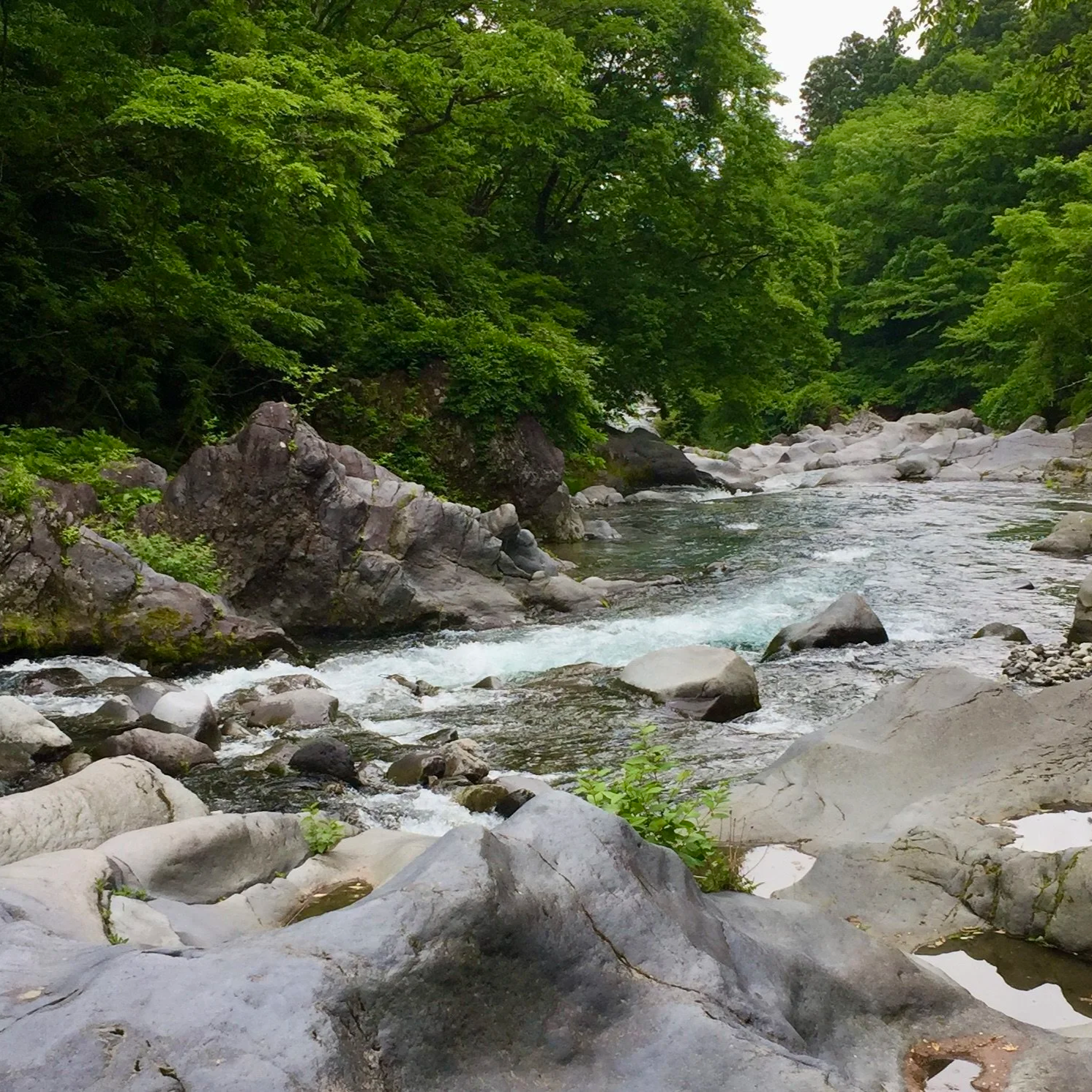A flowing river surrounded by lush green trees and large rocks and boulders.