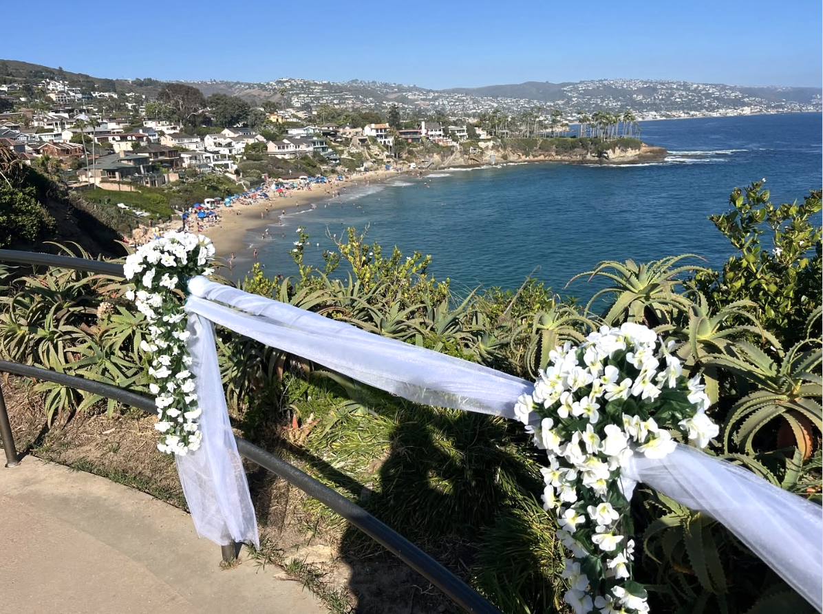 Screenshot 2026-01-31 at 4.48.10 PM.png