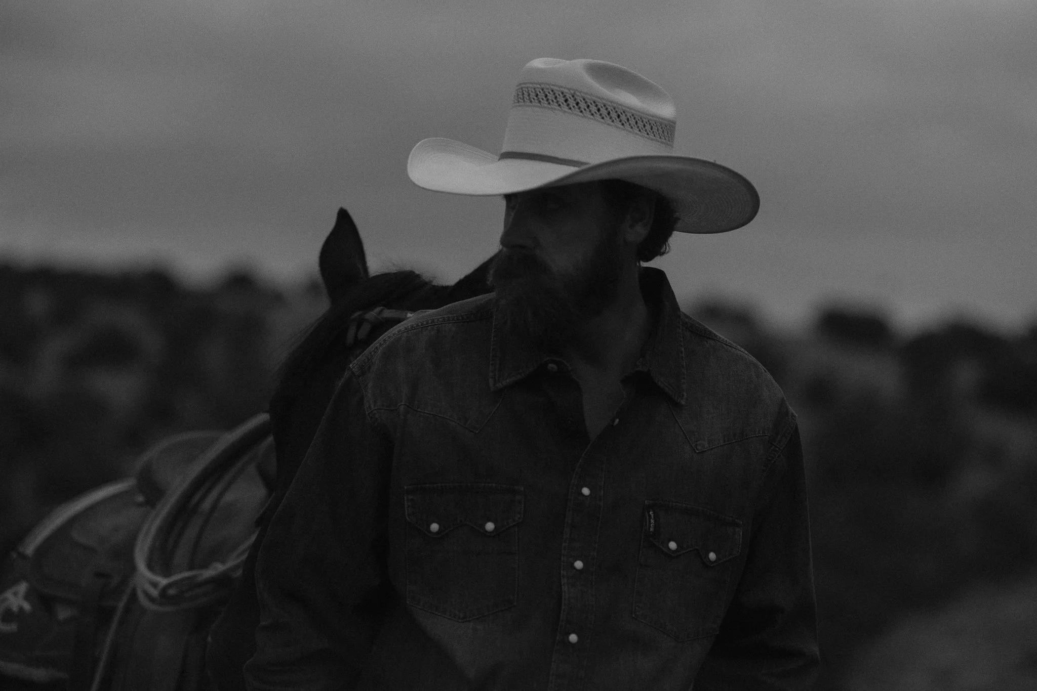 A man with a beard wearing a cowboy hat and denim shirt, standing beside a horse with a saddle and ropes, outdoors in a natural setting during dusk or dawn.
