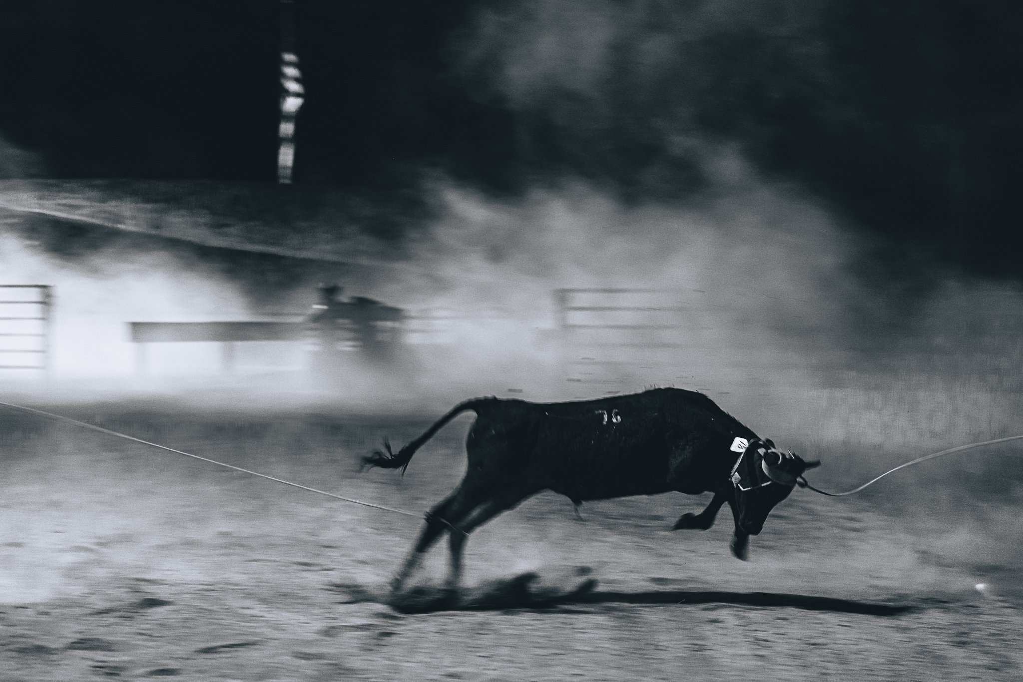 A greyhound racing on a dirt track at night, with a blurred figure and dust in the background.