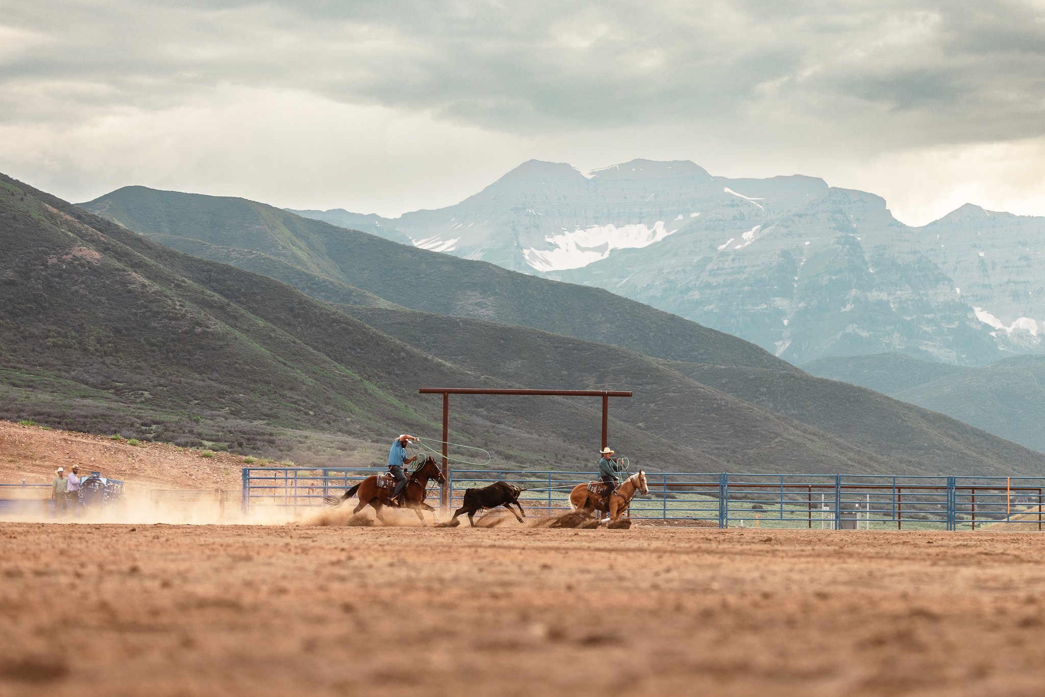 Two cowboys on horseback participating in a rodeo event with a cow in an outdoor arena, mountain range in the background, overcast sky
