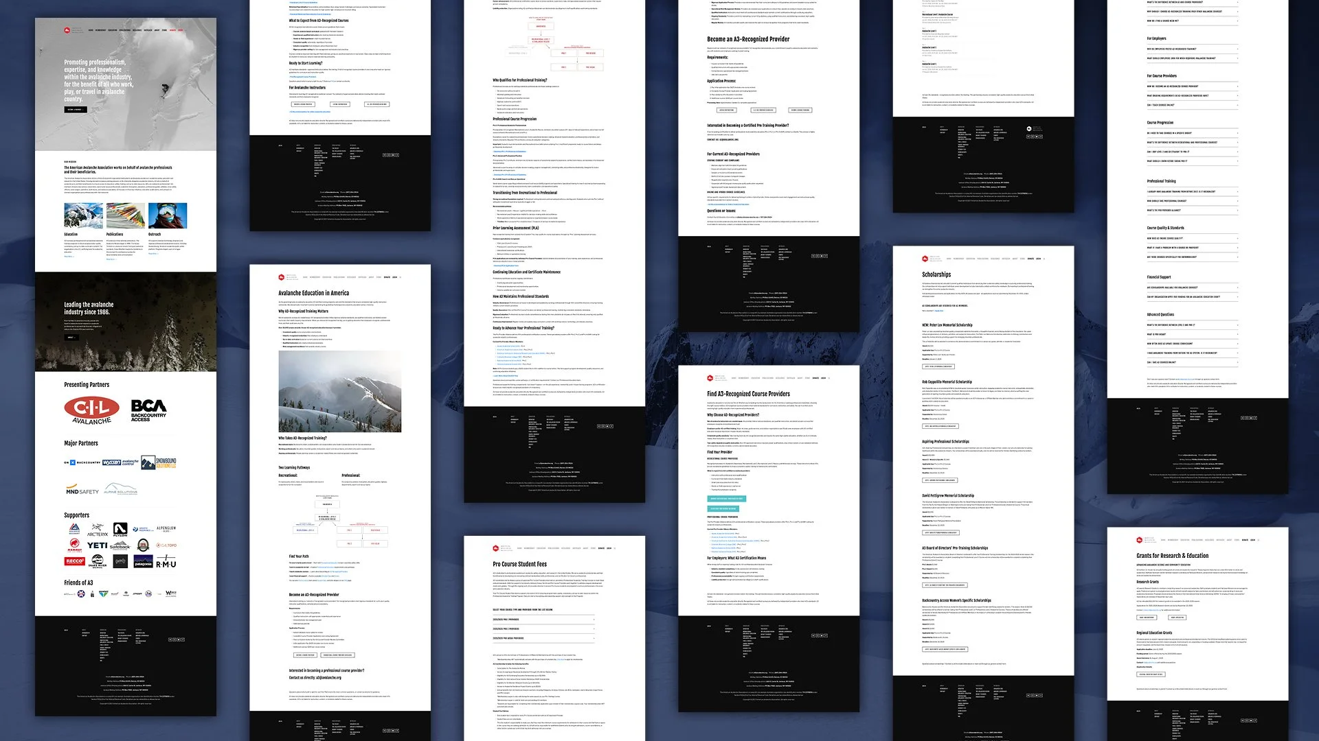 Collection of web pages related to avalanche education, training, courses, scholarships, and research funding, with logos of partners and sponsors, set against a mountain background.