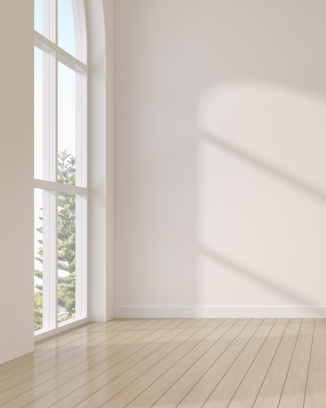 The Home Detail Co. Tasmania cleaner