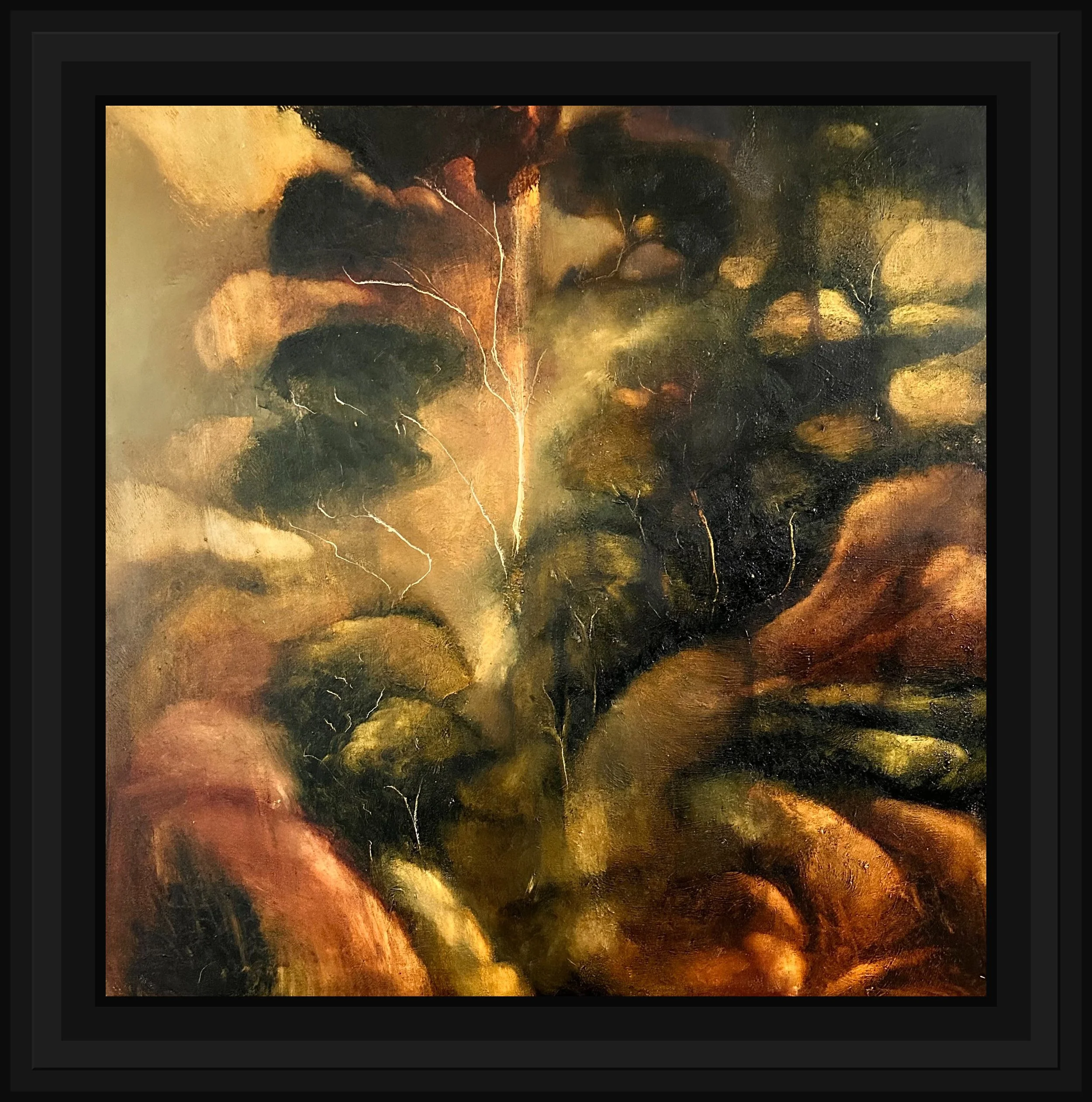 IMG_6343_wide_black_frame.jpg