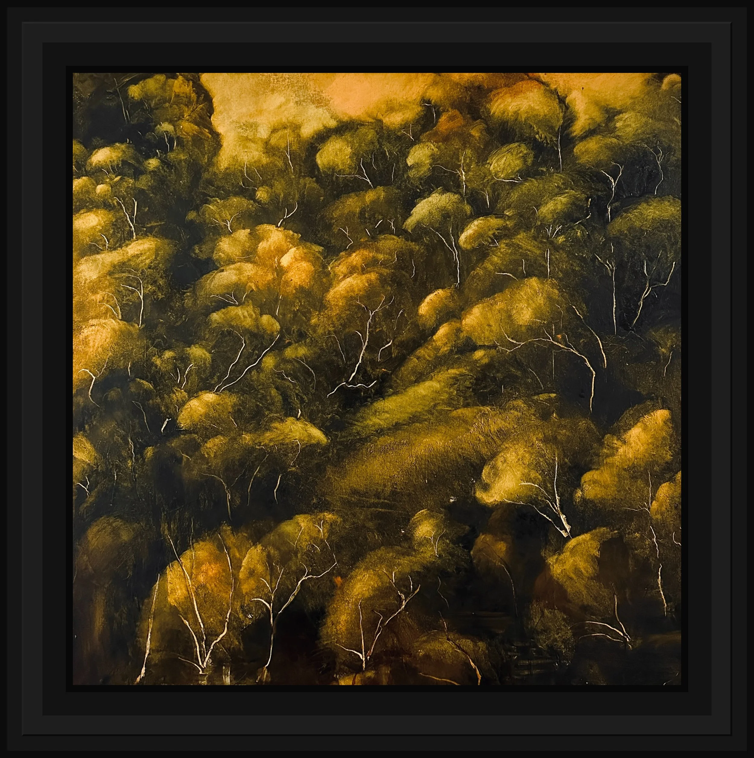 IMG_6516_wide_black_frame.jpg