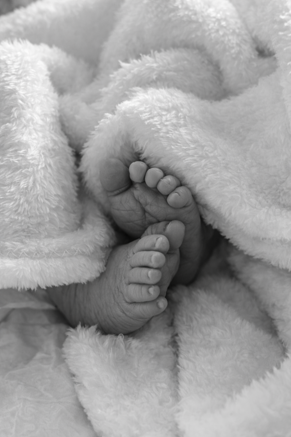 Close-up of a newborn baby’s feet, partially wrapped in a soft, fluffy blanket.