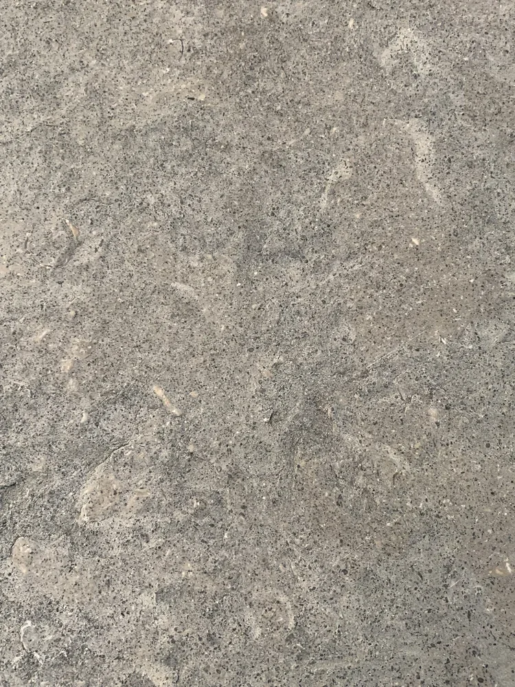 Regent Blue Flame & Brushed