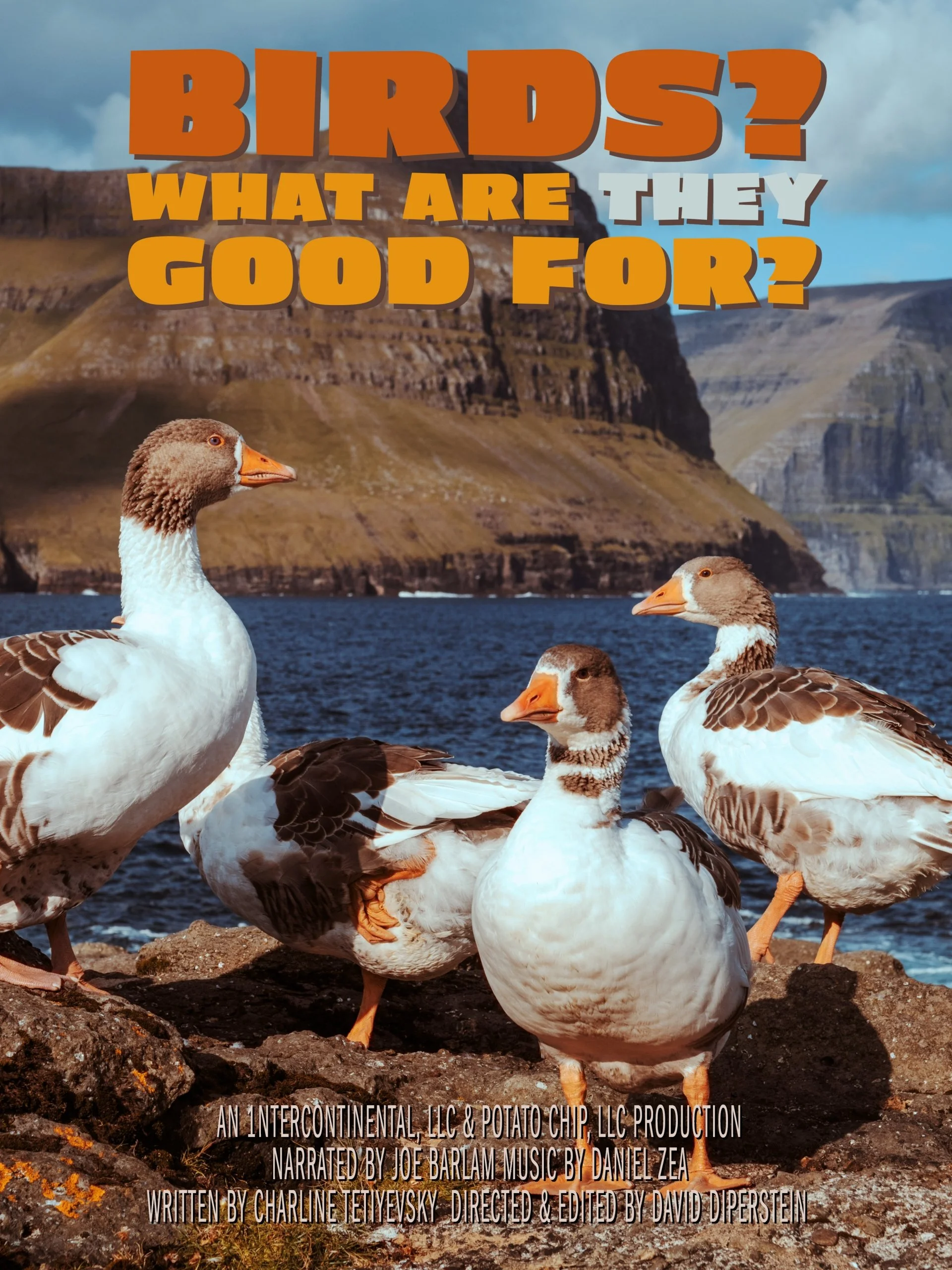 A poster for the film "Birds? What Are They Good For?" featuring several ducks lounging on a mossy crag in front of a large lake.