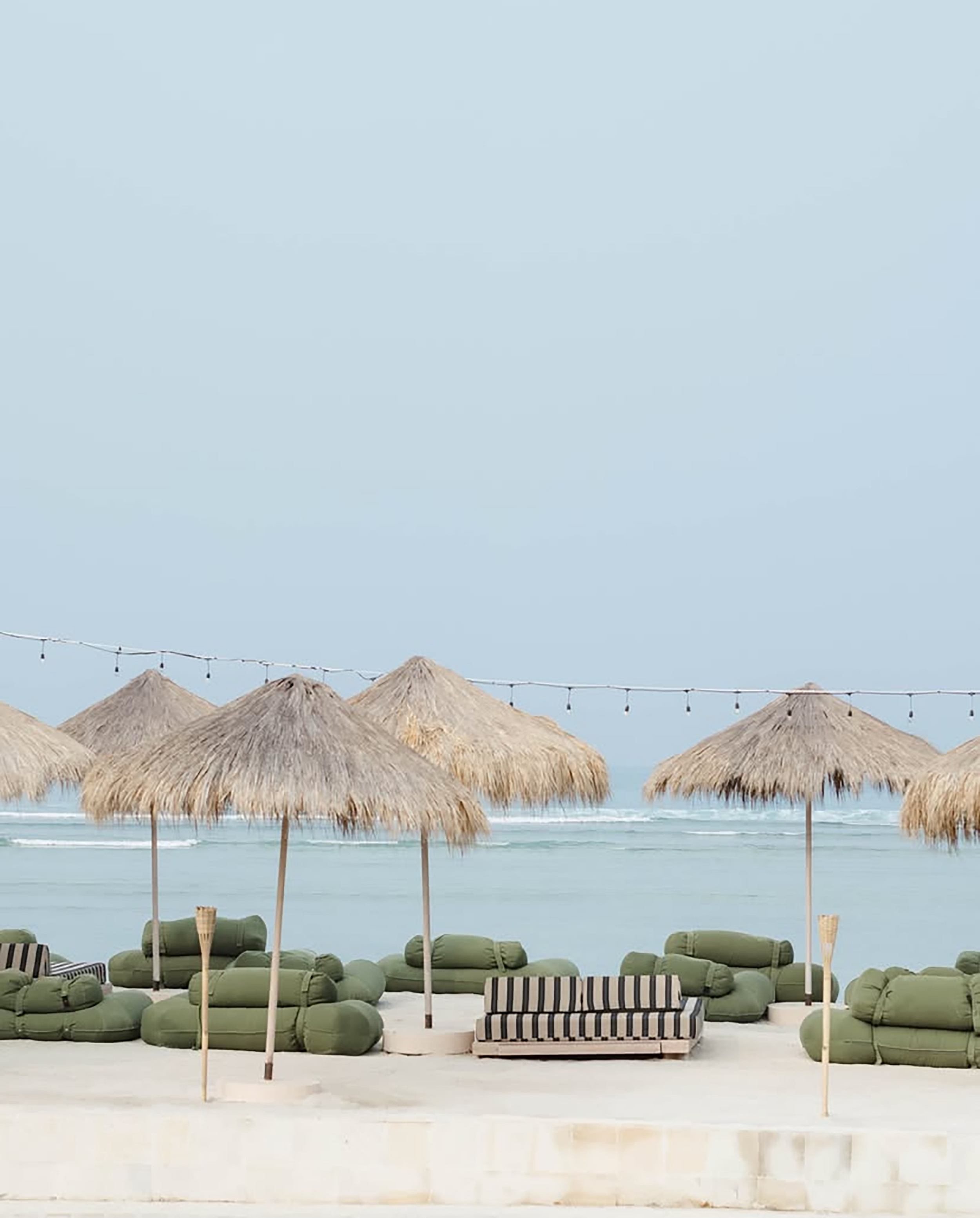 IMG_1230 EDIT HIGH RES.png