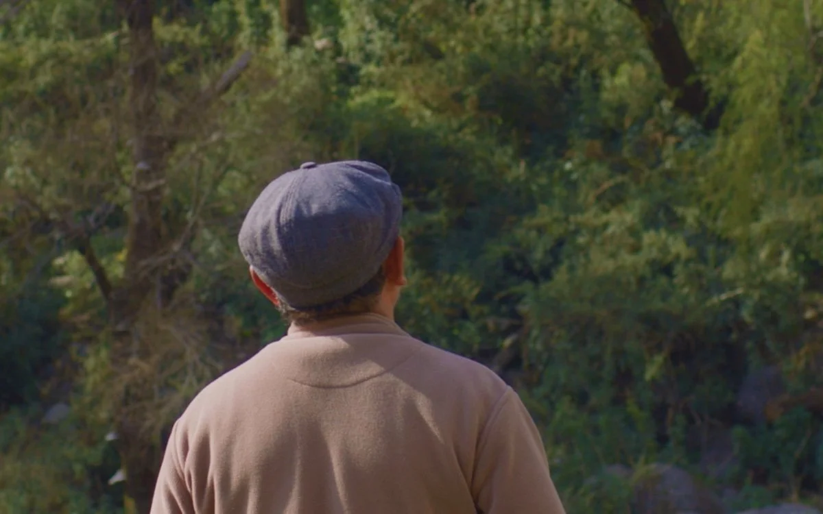 A man wearing a gray cap and a beige jacket standing outdoors, looking at green trees and foliage.