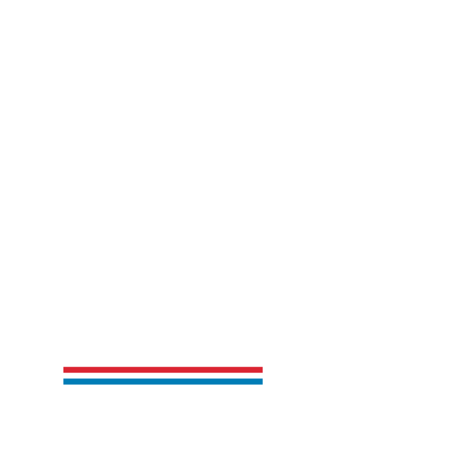 Logo of the National Endowment for the Arts with text "for the ARTS" and the website arts.gov, featuring a red, white, and blue stripe.