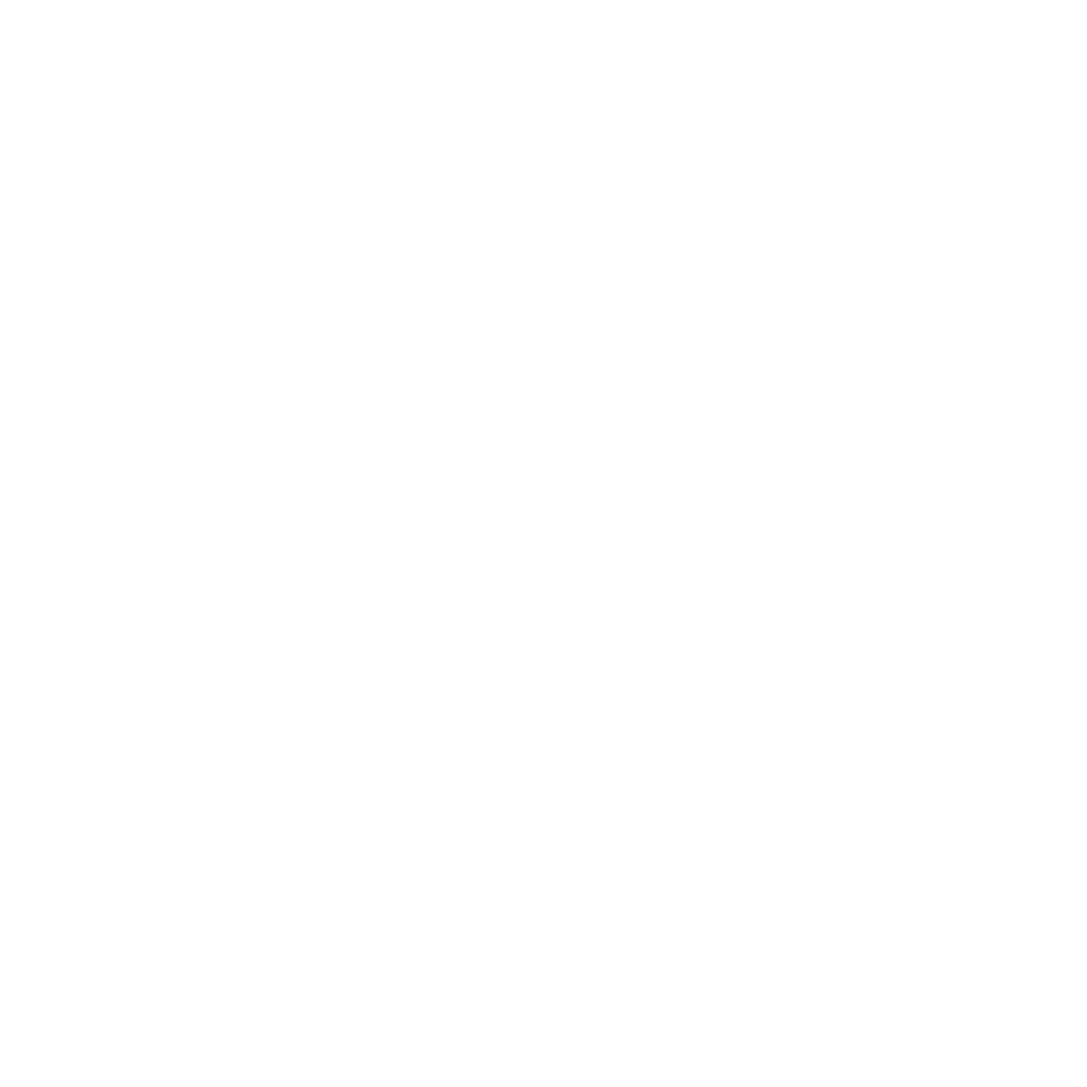 True Digital
