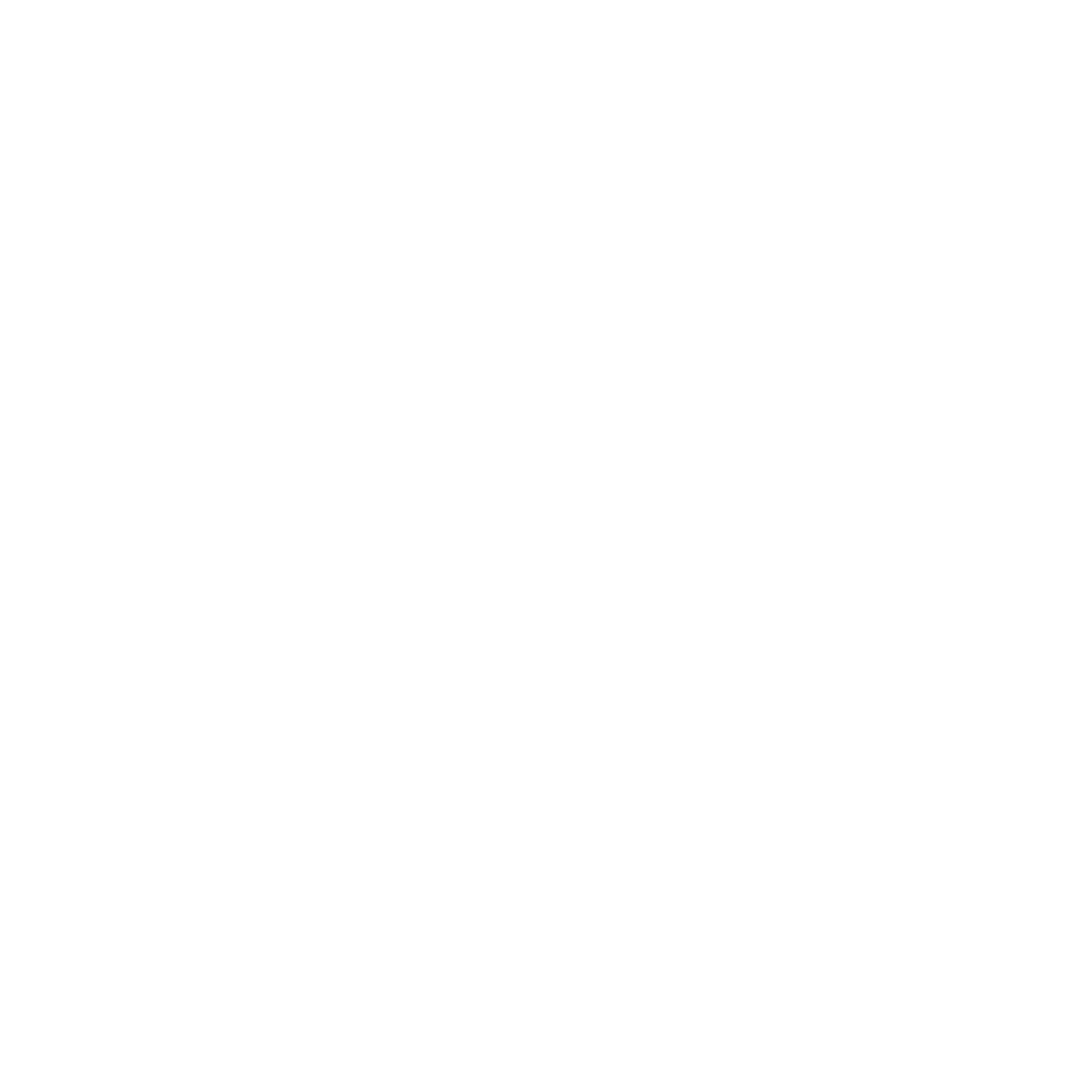 Cebu Pacific Airline