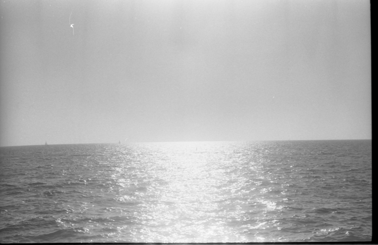 img20251216_12214035 Large.png