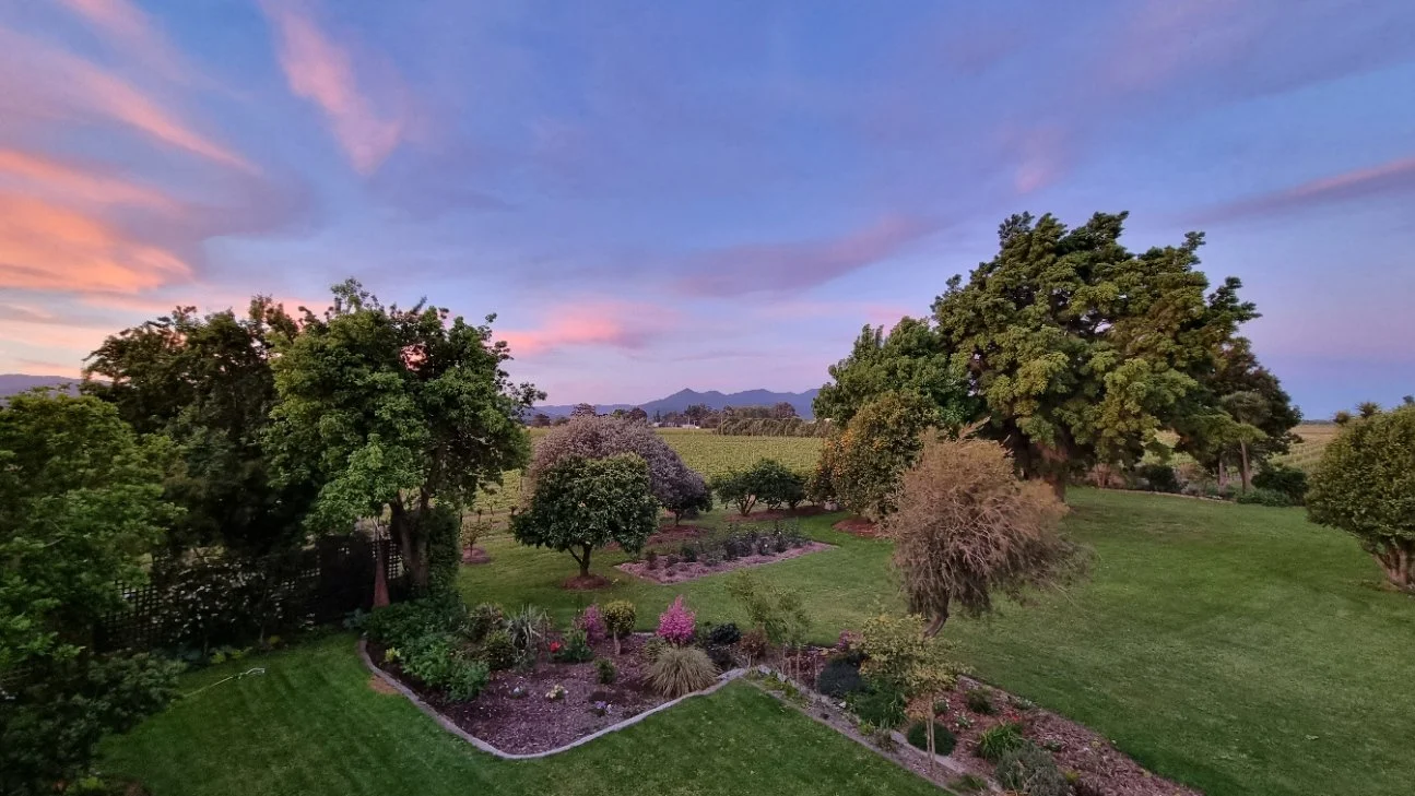 Scenic view of a well-maintained garden with trees, shrubs, and flowering plants under a colorful sky during sunset or sunrise.