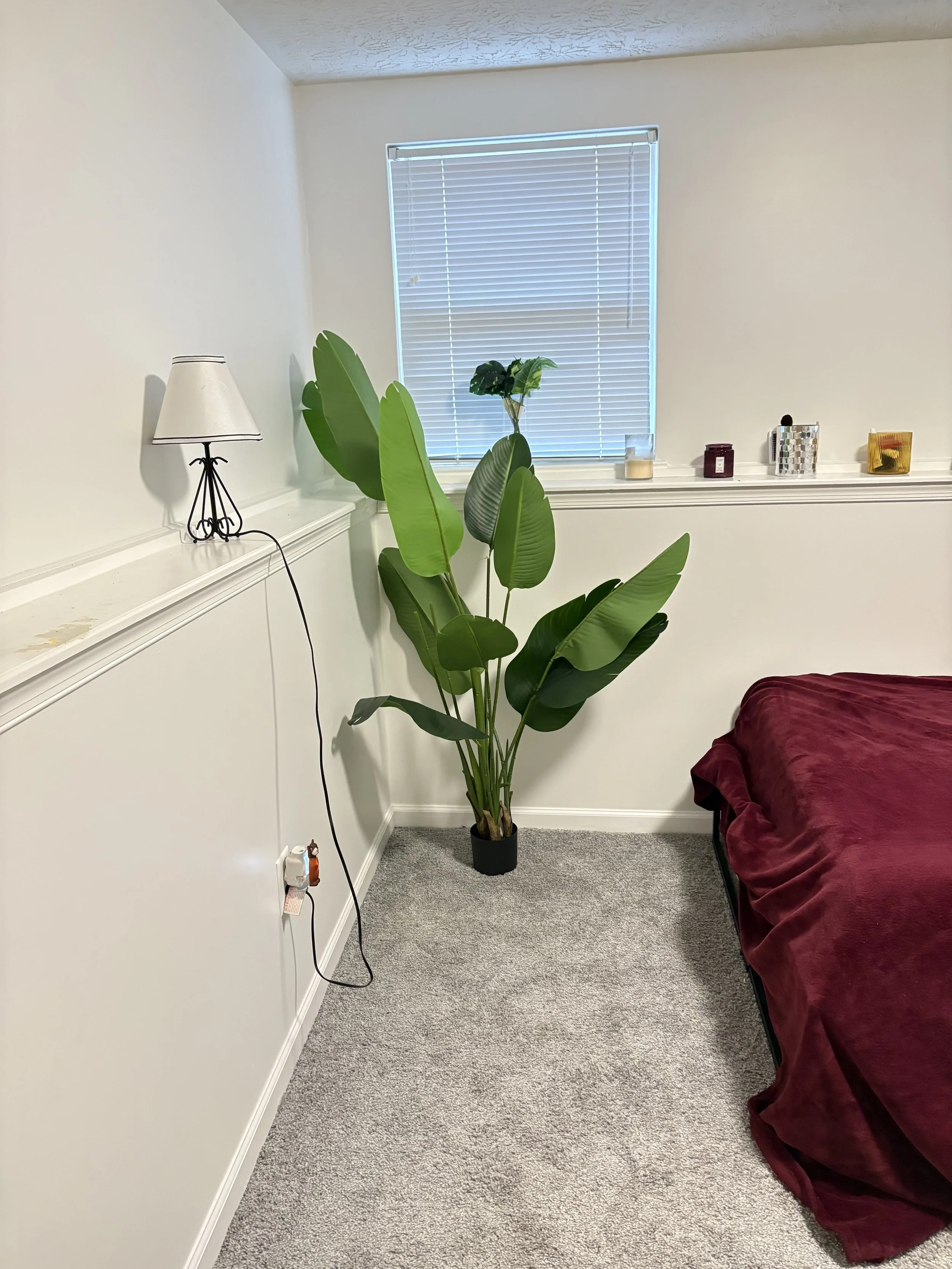 after-bedroom-organization-transformation-maryland completed by Still Nest Professional Organizing in Baltimore, Maryland.