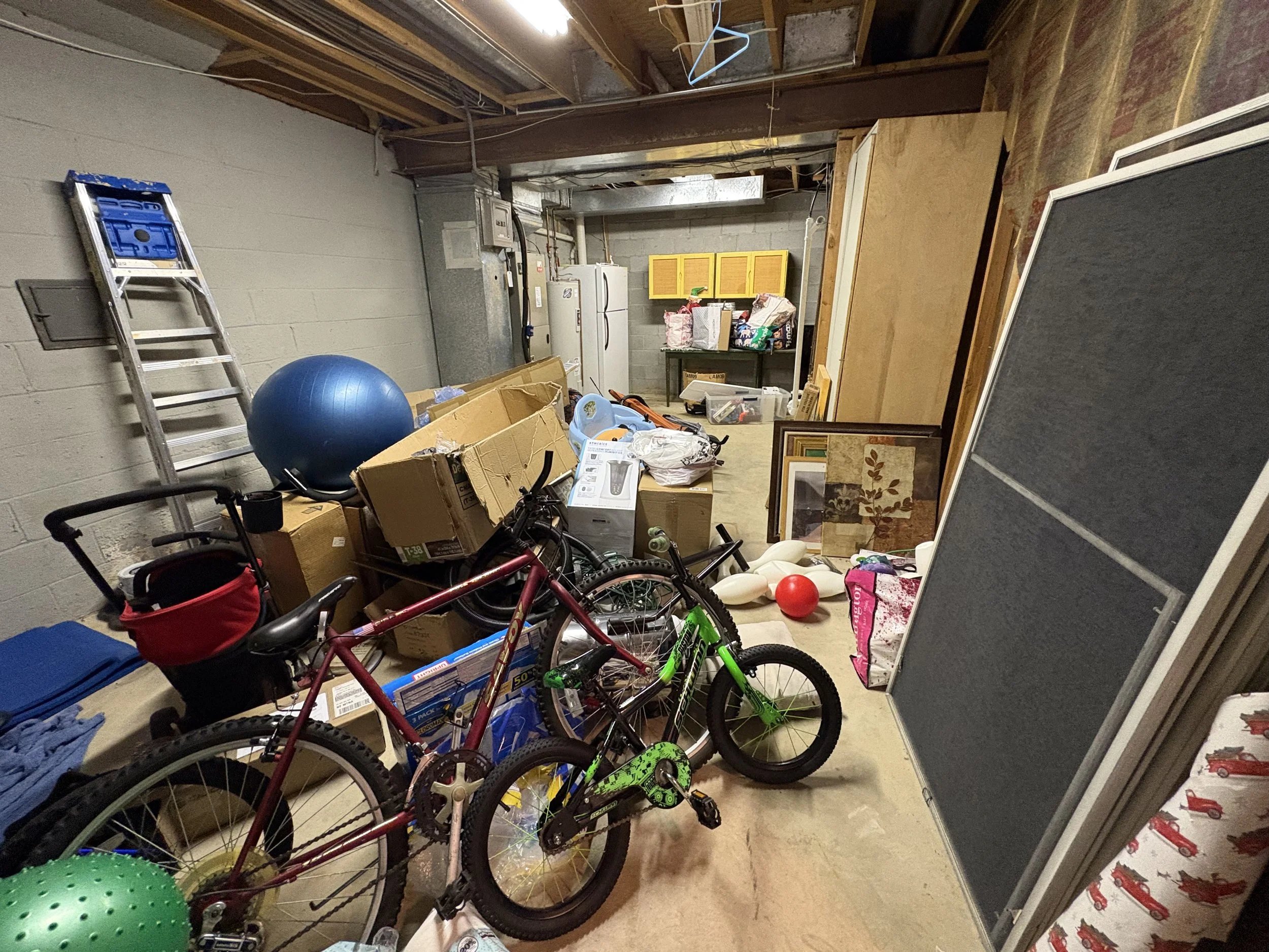 before-storageroom-organization-transformation-maryland completed by Still Nest Professional Organizing in Baltimore, Maryland.