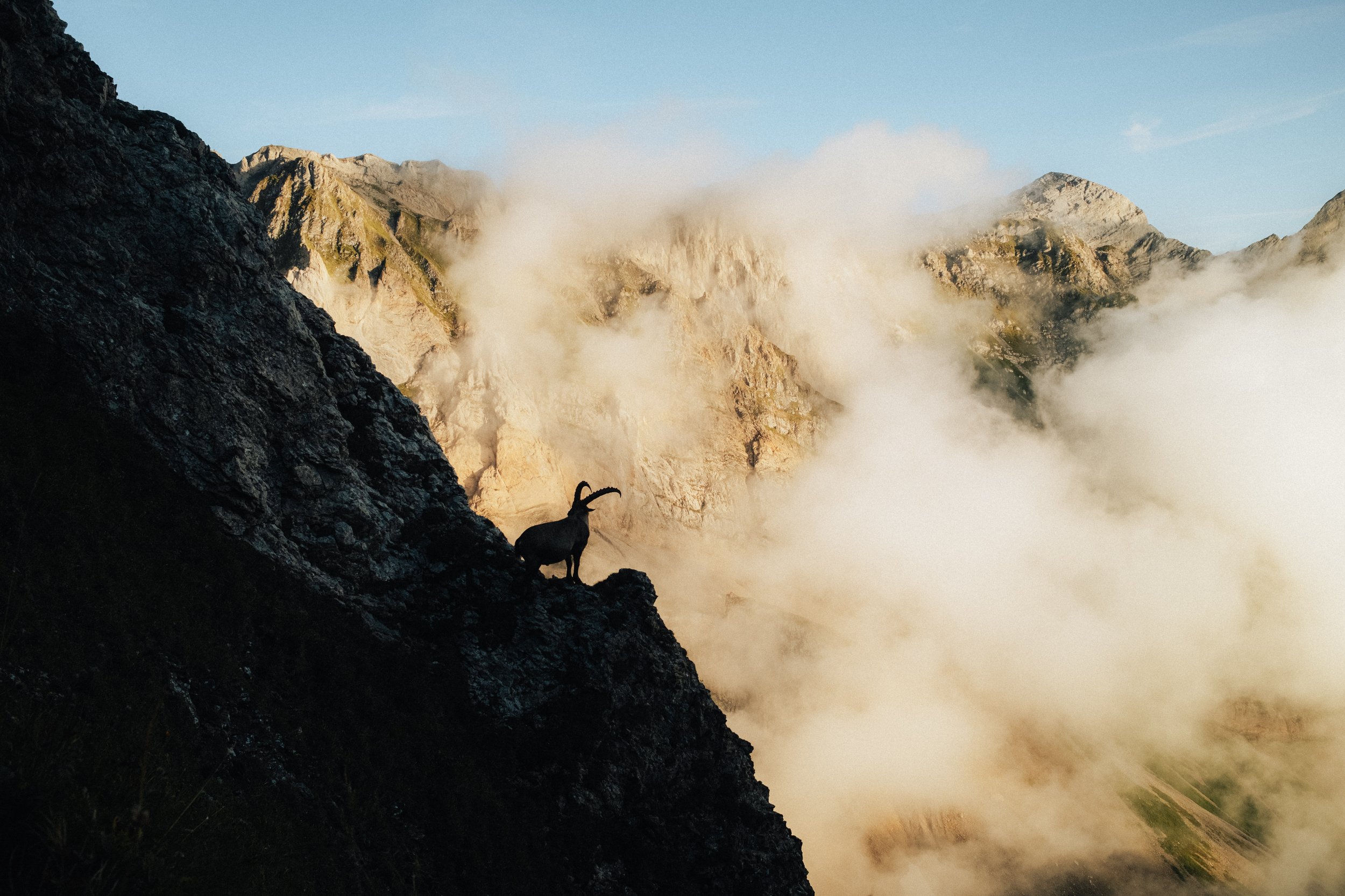 A rugged mountain landscape with a mountain goat standing on a rocky ledge silhouetted against a backdrop of misty mountains and clouds.