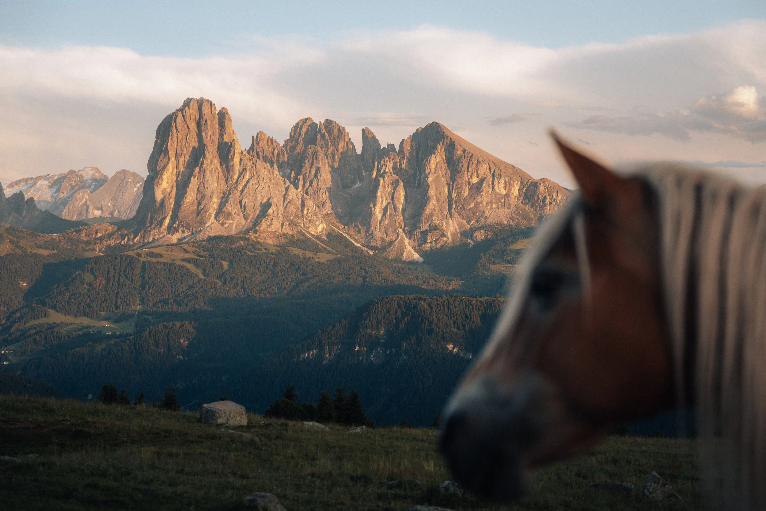 A mountain range at sunset with a horse in the foreground.