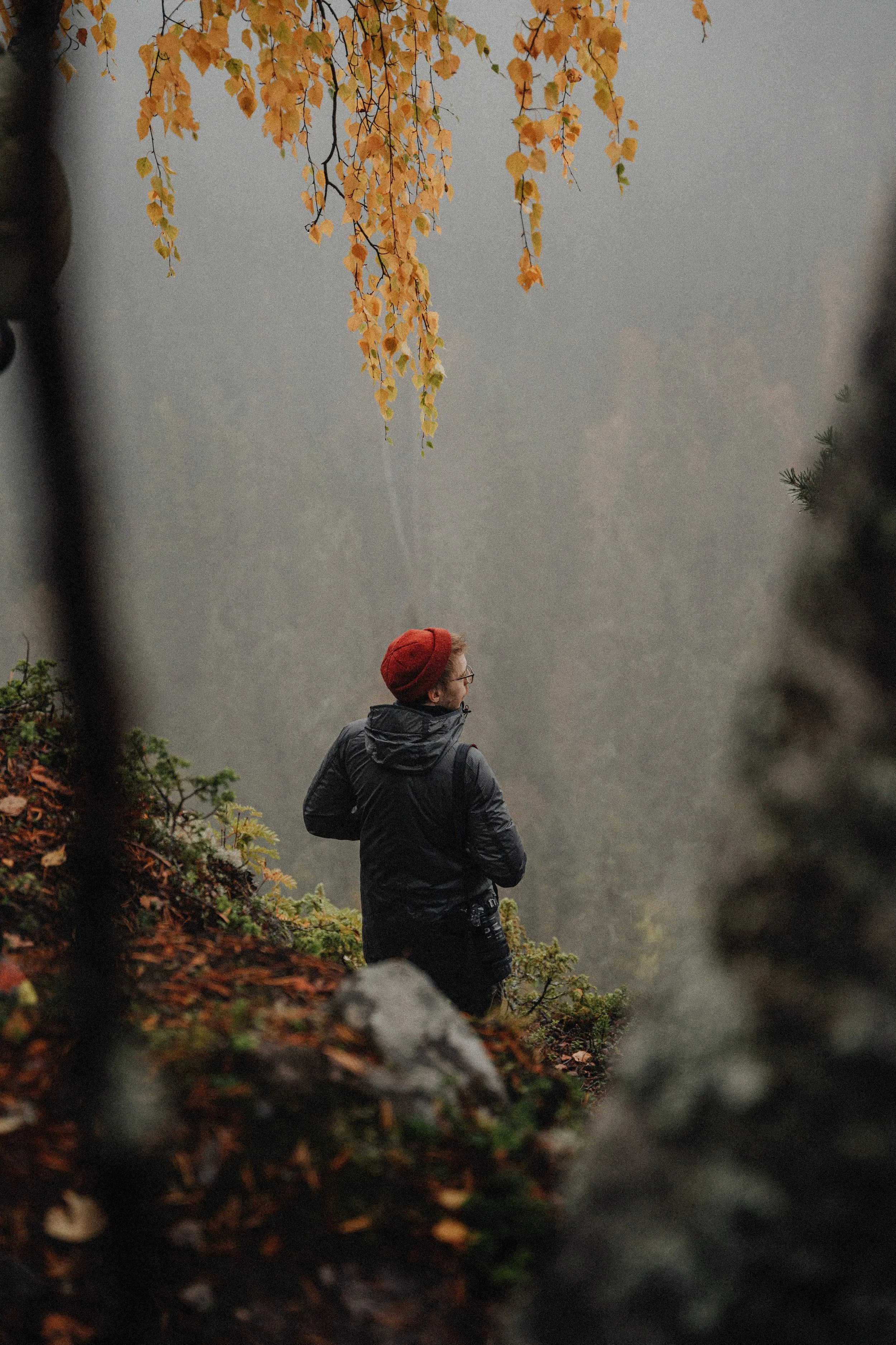 A person wearing a black jacket and red hat stands on a foggy forest trail, framed by blurred dark trees in the foreground, with autumn leaves hanging above.
