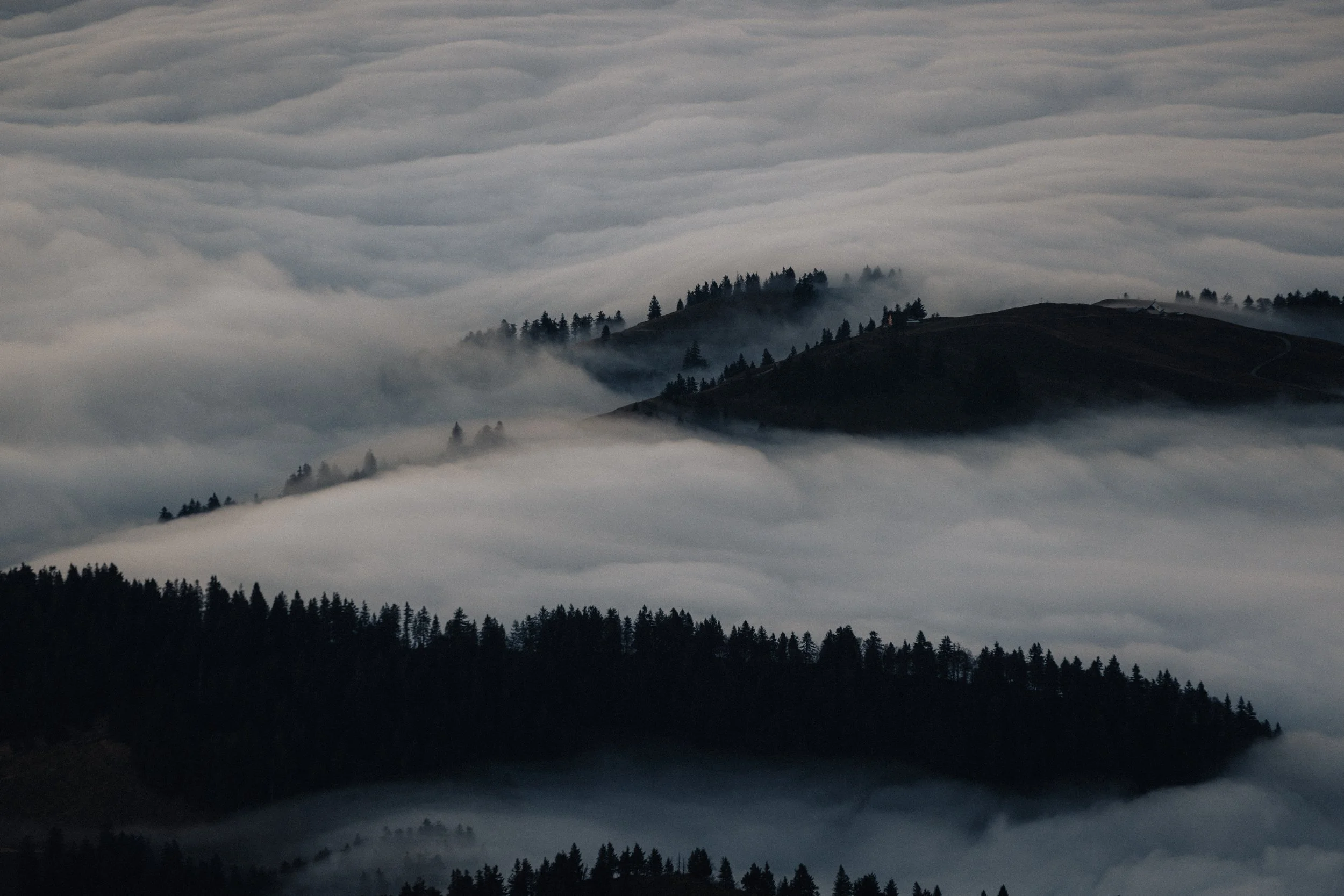 Multiple mountain ridges with dense pine forests are covered in thick fog or low clouds, creating a layered and misty landscape.