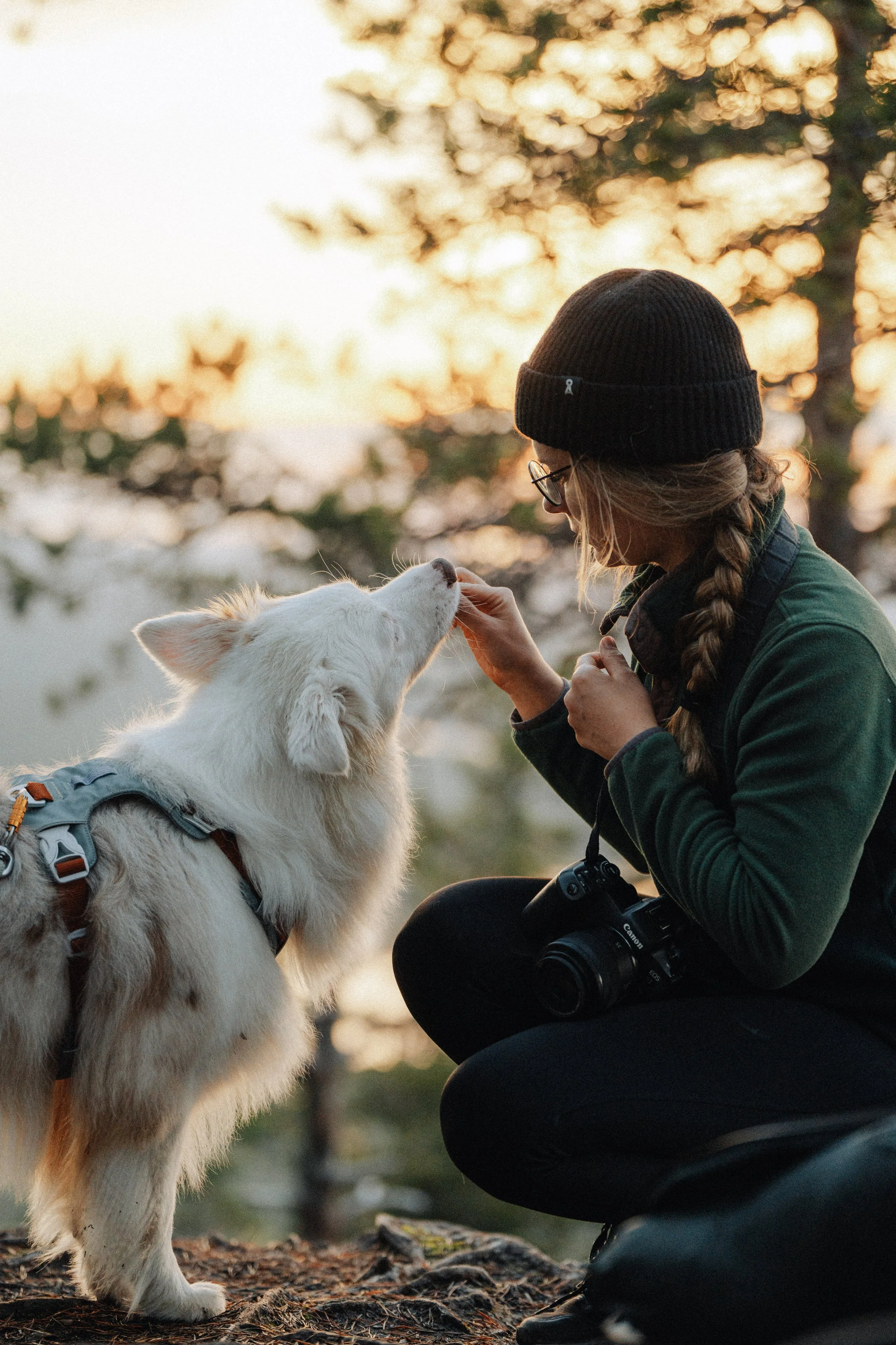 A woman with glasses, a black beanie, and a green jacket kneels outdoors at sunset, feeding a white dog with brown spots, while holding a camera around her neck.