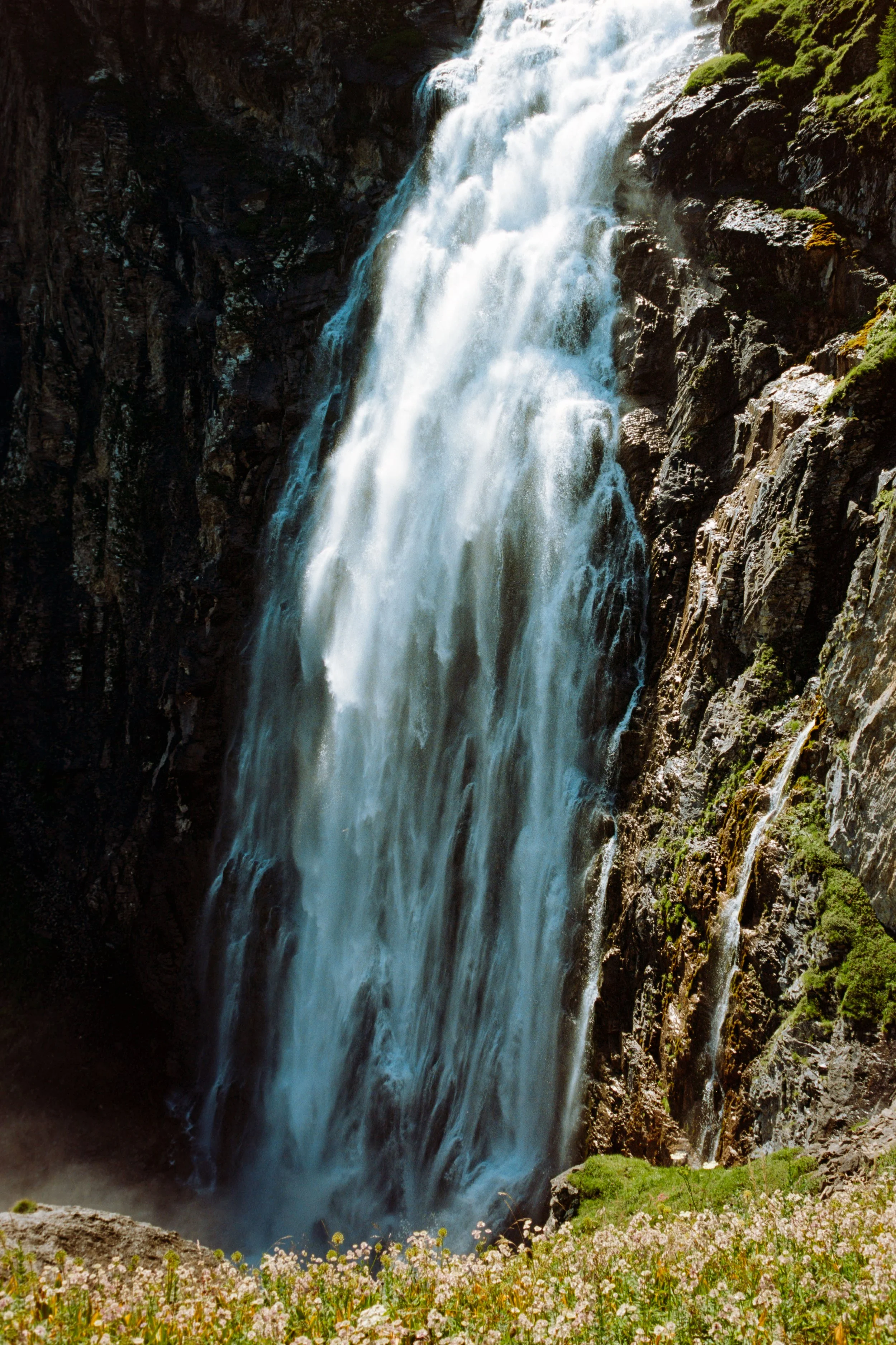 Waterfall cascading down a rocky cliff with greenery and flowers in the foreground.