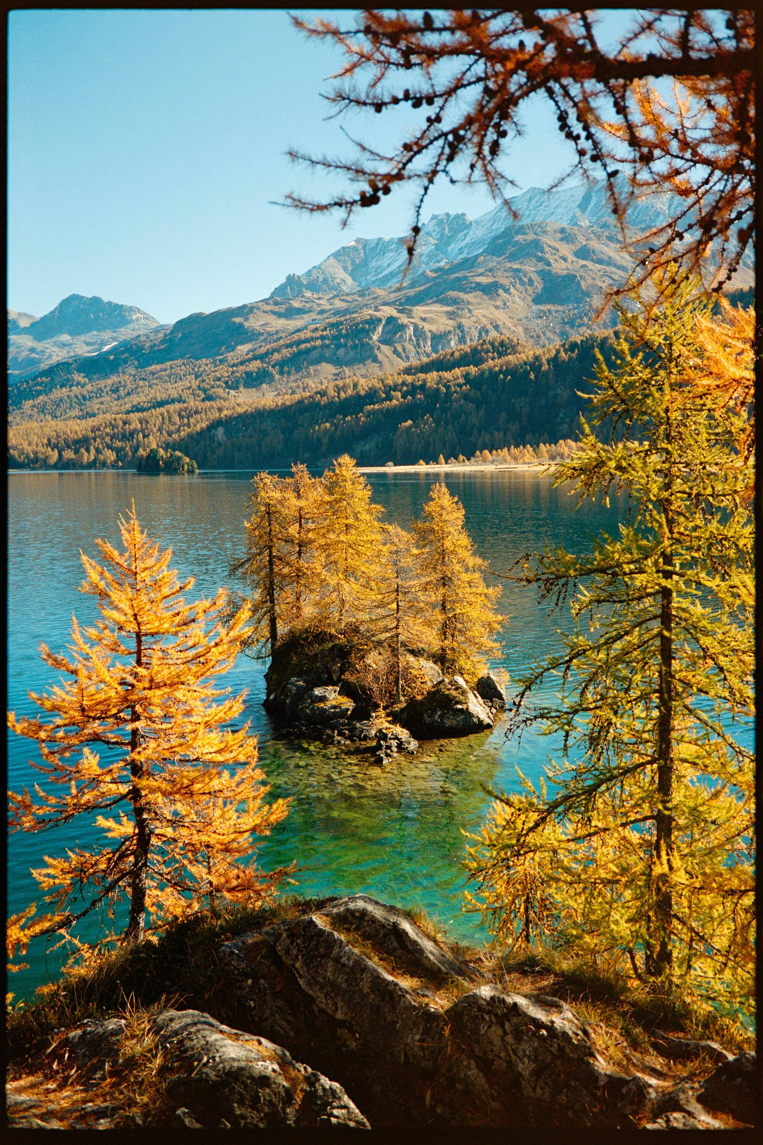 Autumn trees near a mountain lake with clear water and snow-capped mountains in the background.