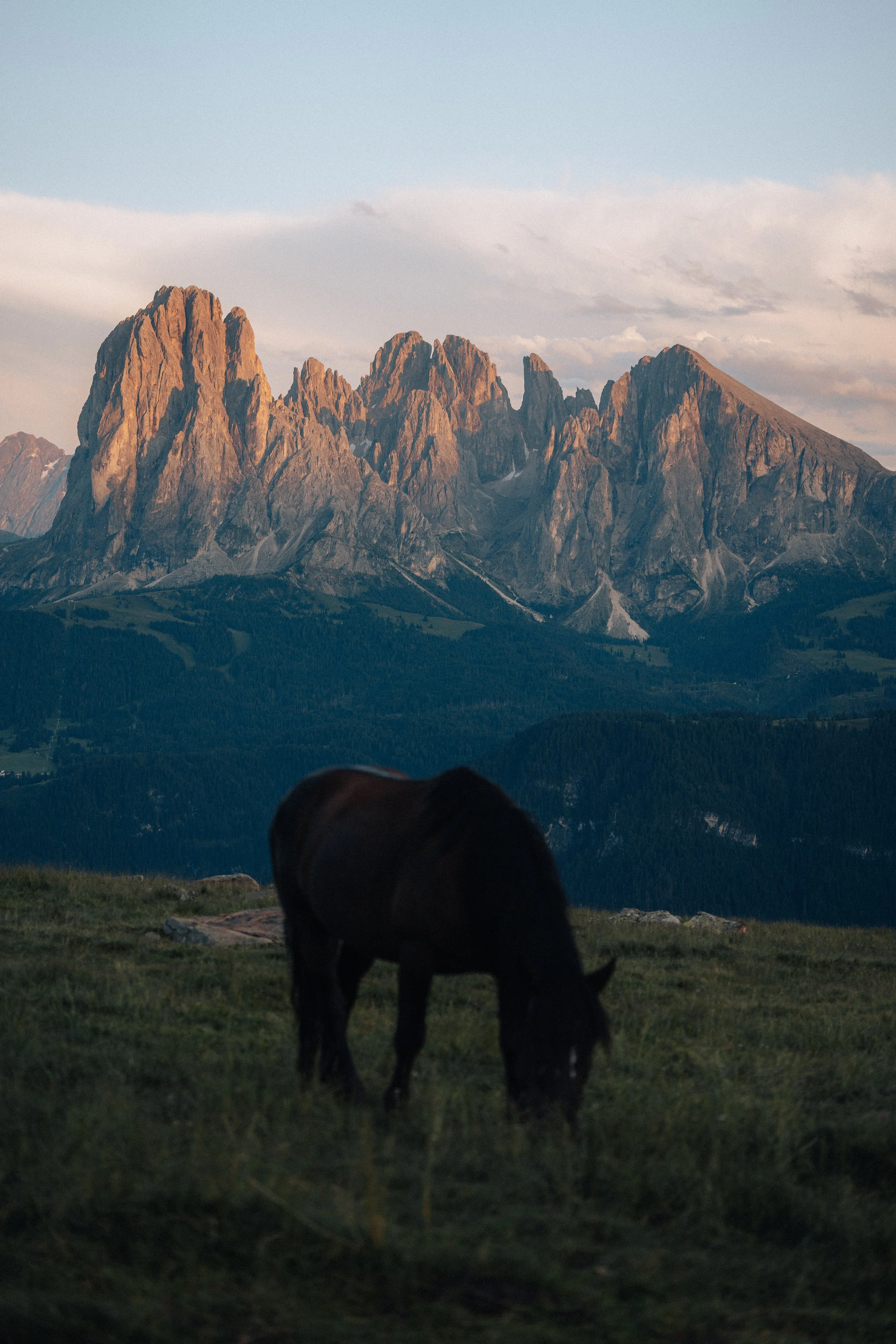 A black horse grazing on grassy land with mountains in the background and a partly cloudy sky.