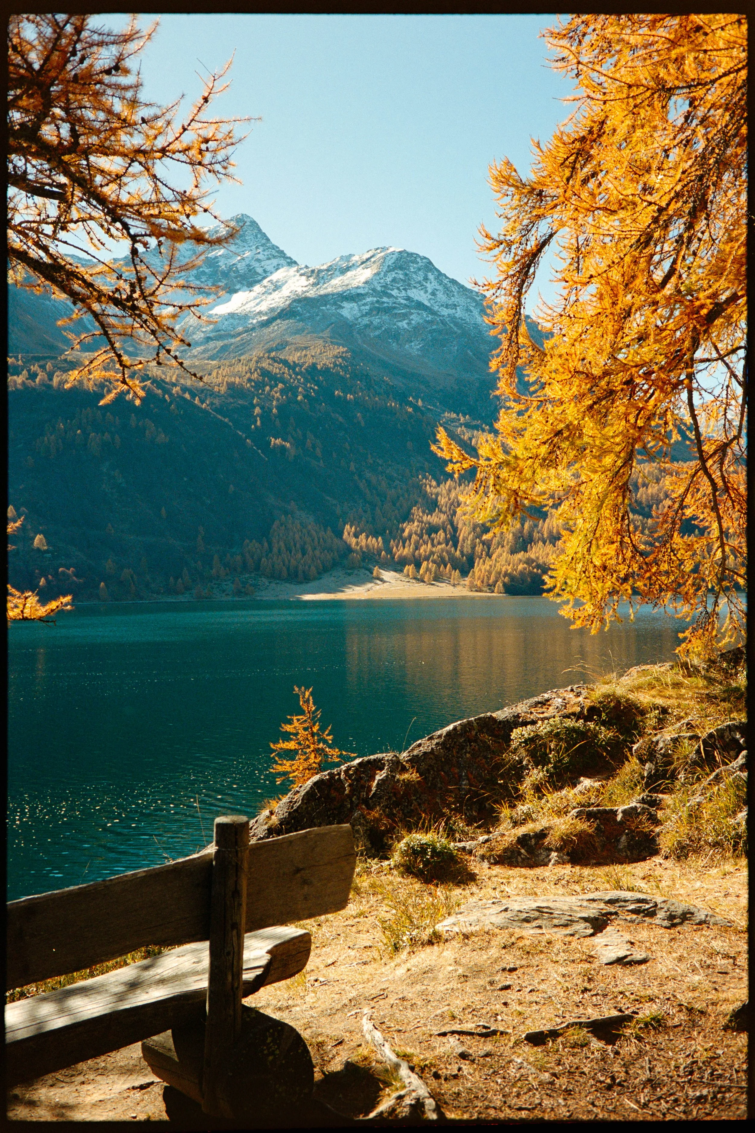 Scenic view of a mountain lake with forested slopes, snow-capped peaks, and autumn foliage, featuring a wooden bench on the rocky shore.