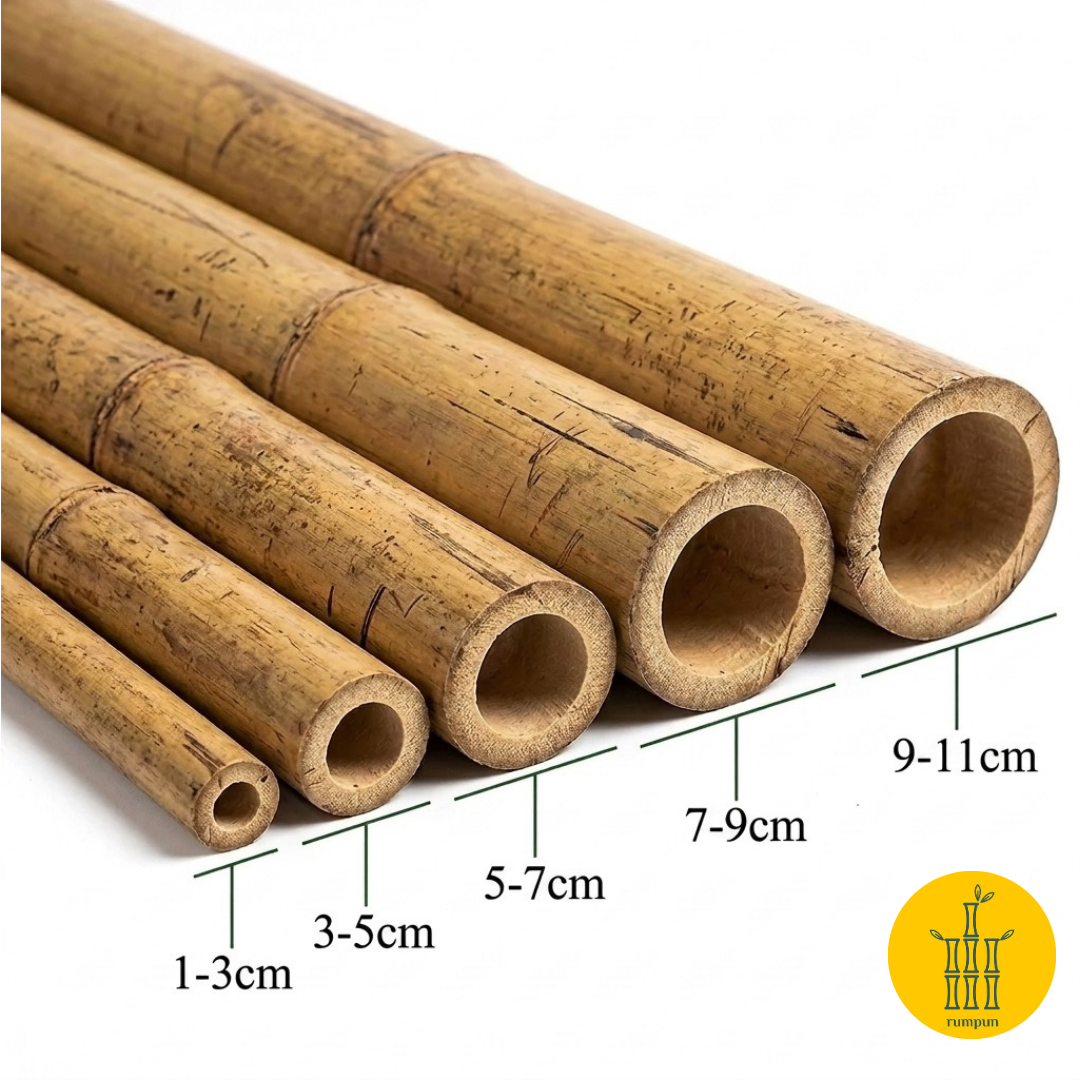 Rumpun_Bamboo_Poles2.png