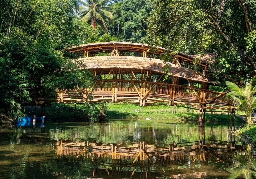 Bamboo Bridge, Buluh & Tebing