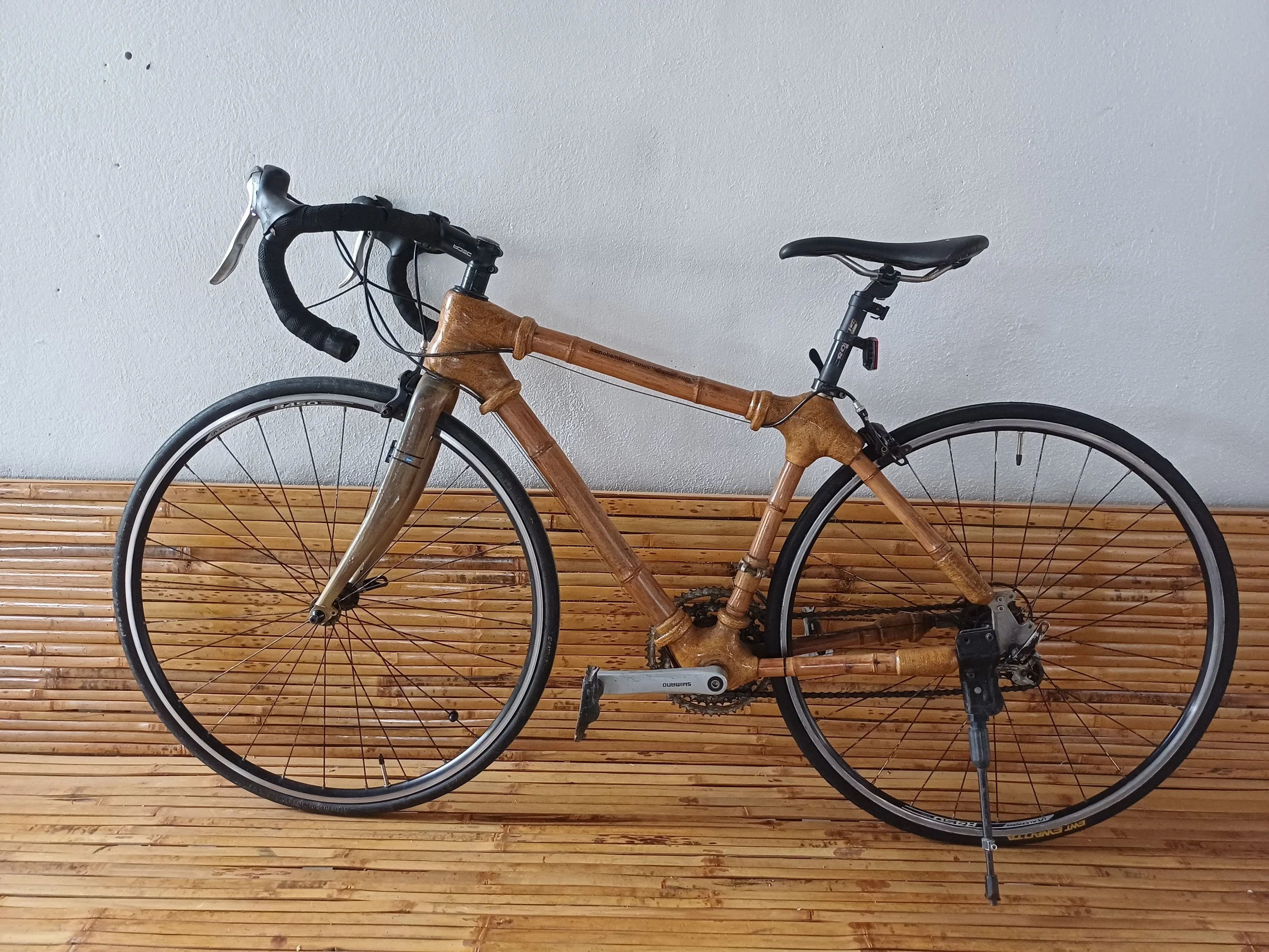 Bamboo bike